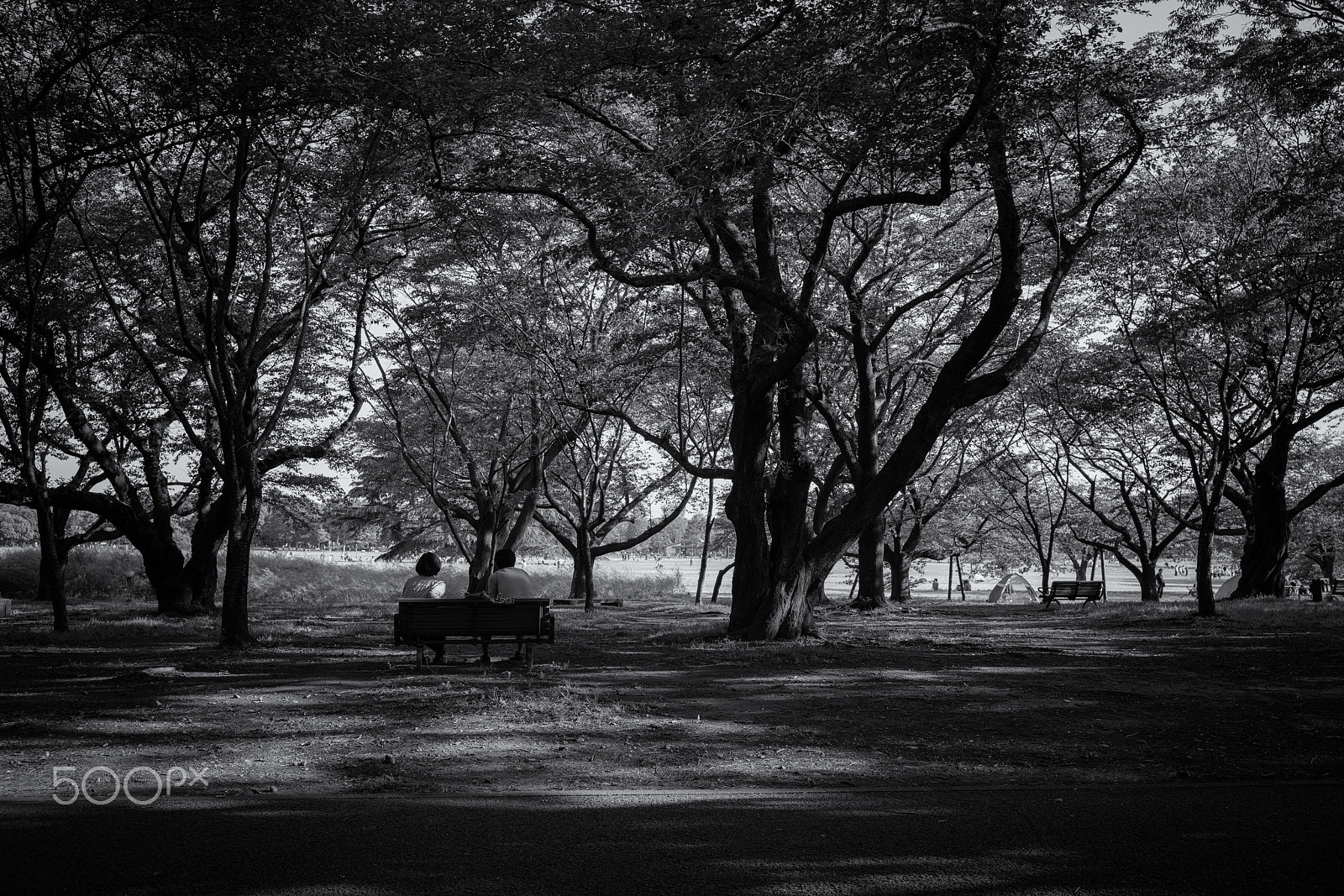 E 35mm F2 sample photo. Time for conversation photography