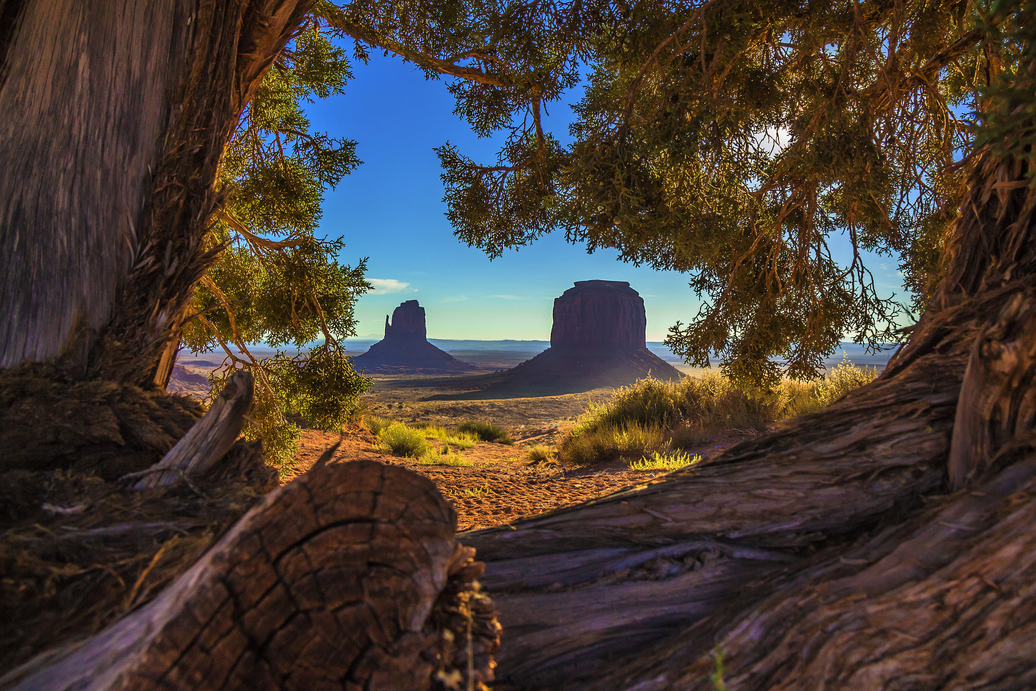 Canon EOS 650D (EOS Rebel T4i / EOS Kiss X6i) + Canon EF-S 17-55mm F2.8 IS USM sample photo. Monument valley in the shade photography