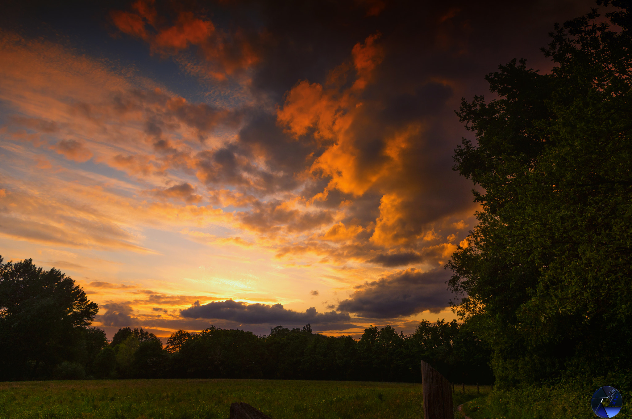 Pentax K-5 IIs sample photo. Essen dellwig photography