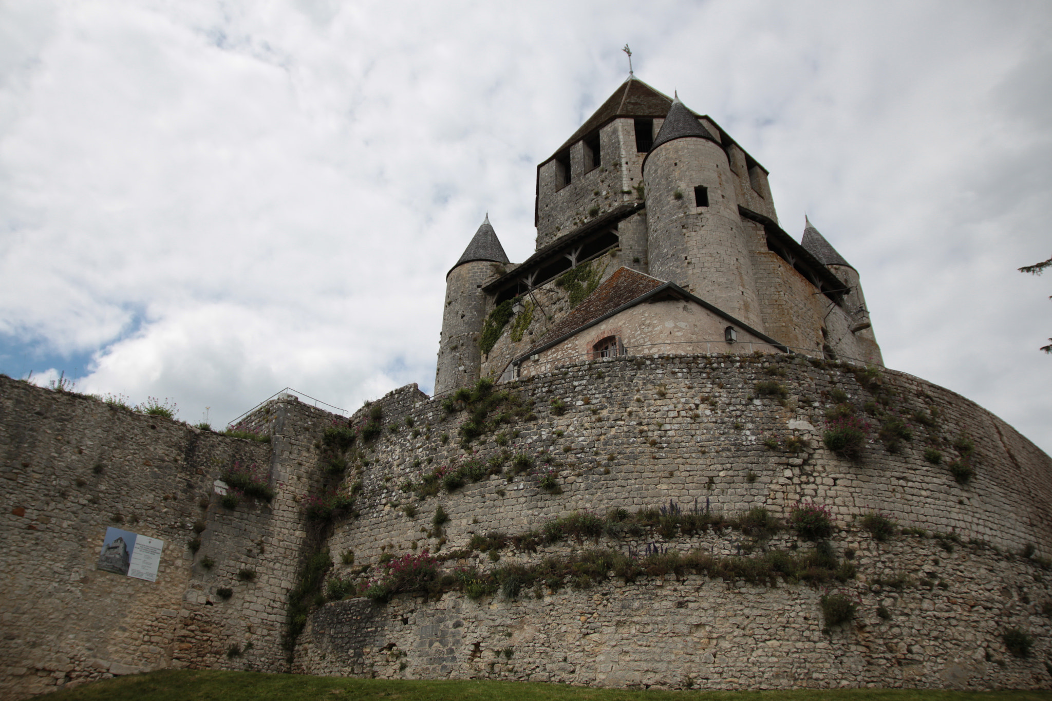 Sigma 17-70mm F2.8-4 DC Macro OS HSM sample photo. Provins photography