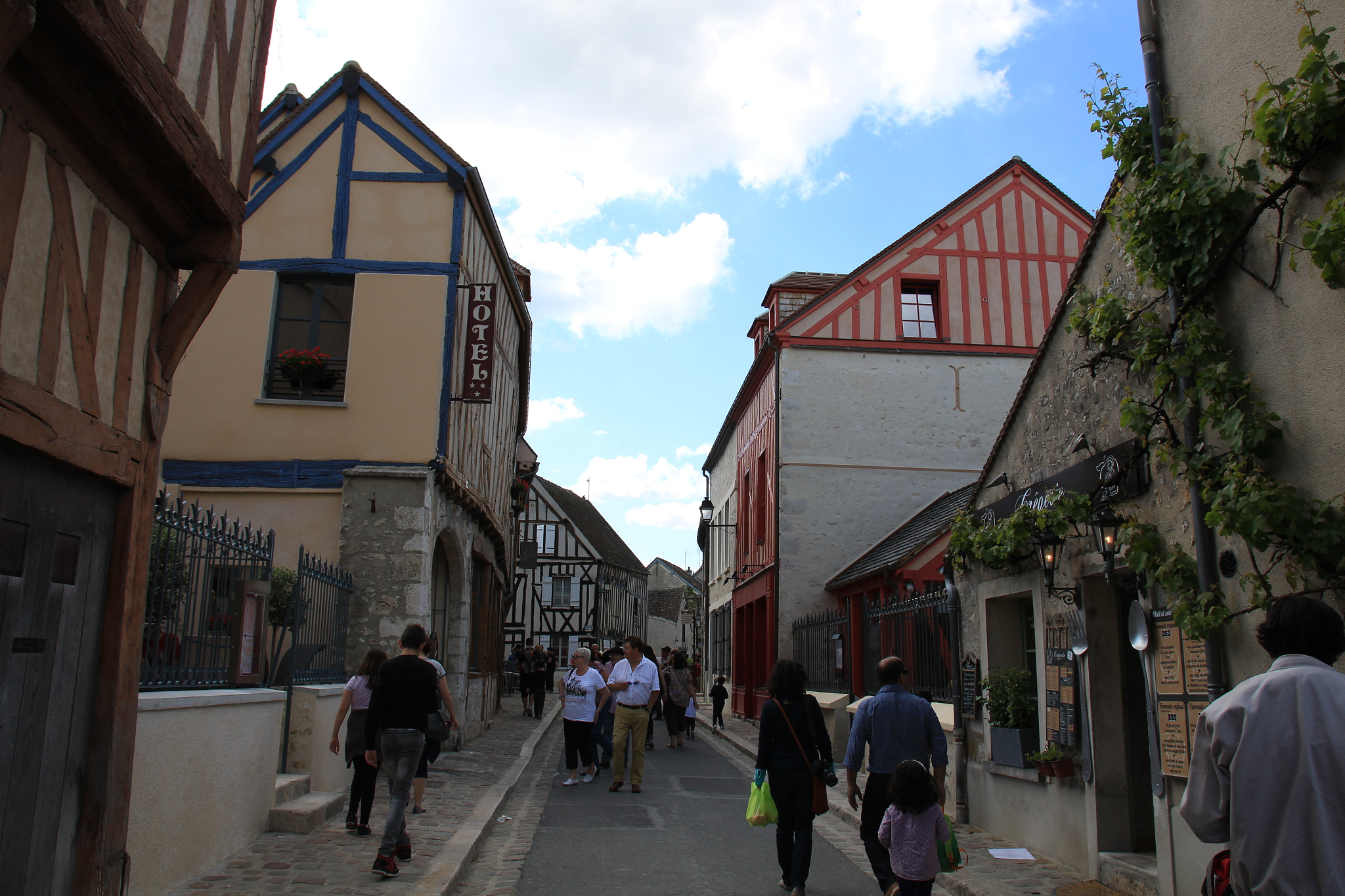 Sigma 17-70mm F2.8-4 DC Macro OS HSM sample photo. Provins photography