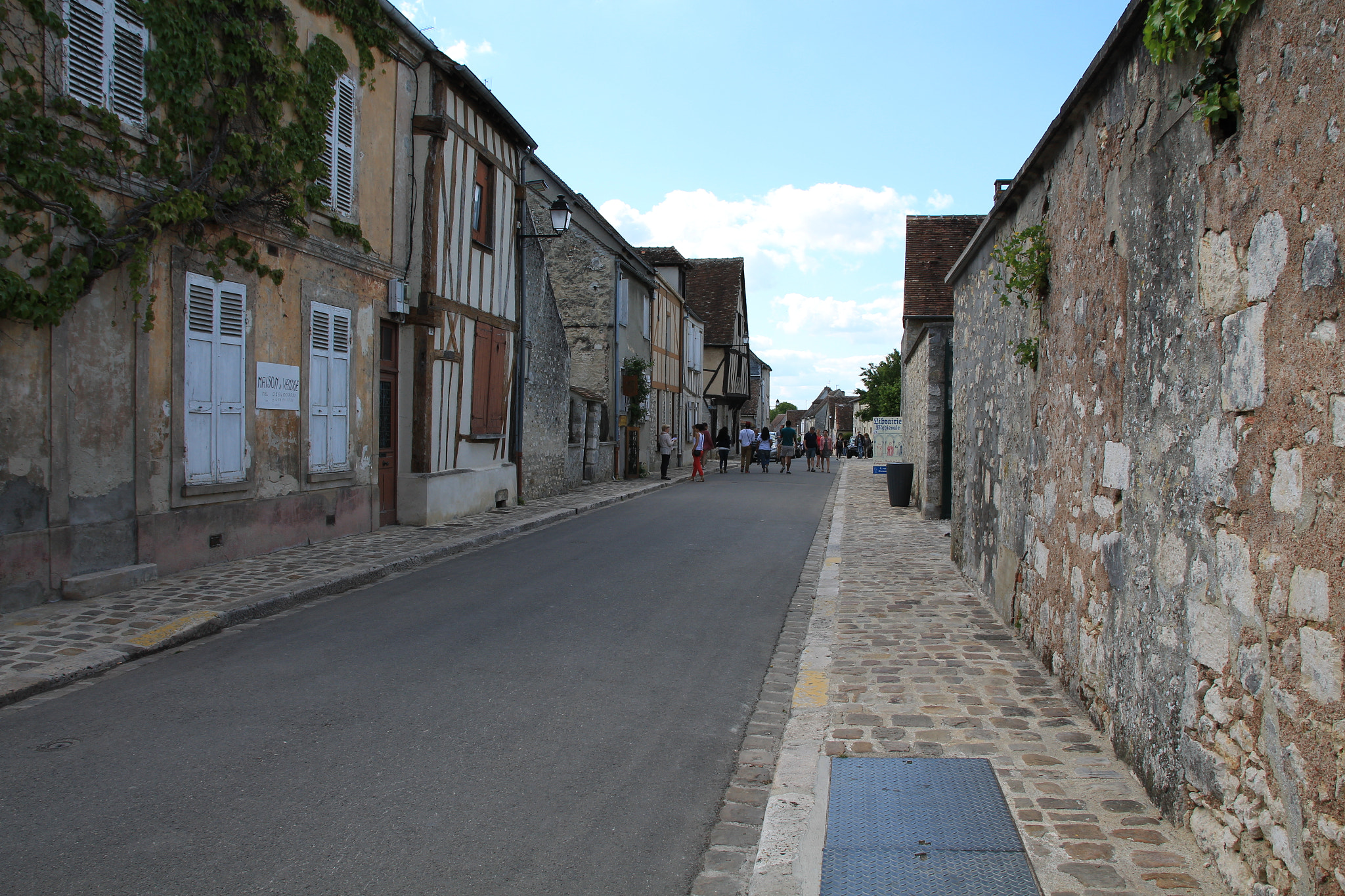 Sigma 17-70mm F2.8-4 DC Macro OS HSM sample photo. Provins photography