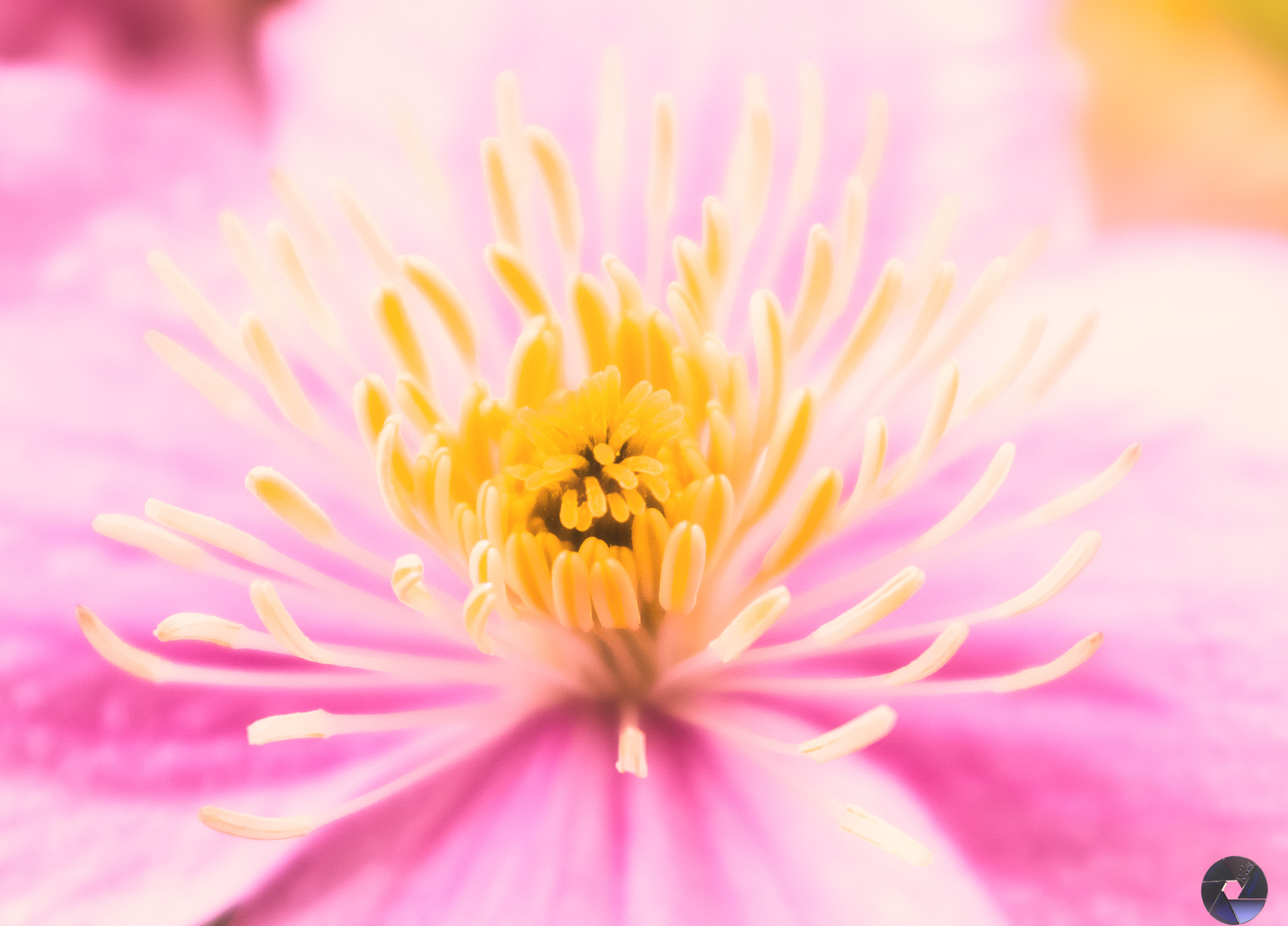 Pentax K-5 IIs sample photo. Oberhausen centro photography