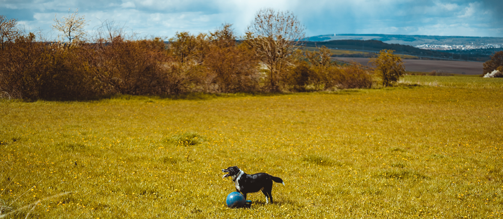 E 50mm F2 sample photo. Play with me photography