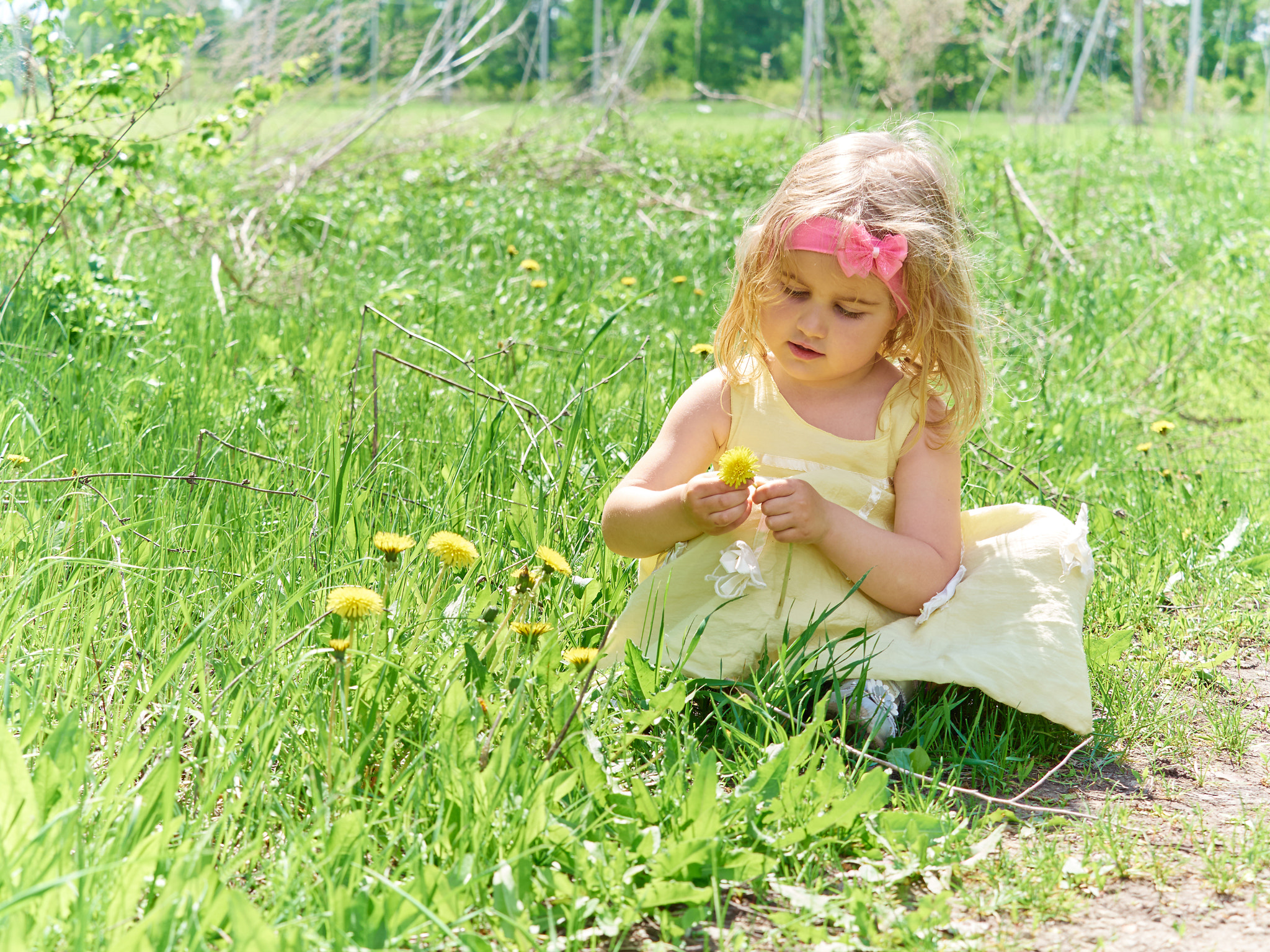 Olympus OM-D E-M5 + Olympus M.Zuiko Digital ED 40-150mm F2.8 Pro sample photo. Girl sitting on grass with flowers dandelion. photography