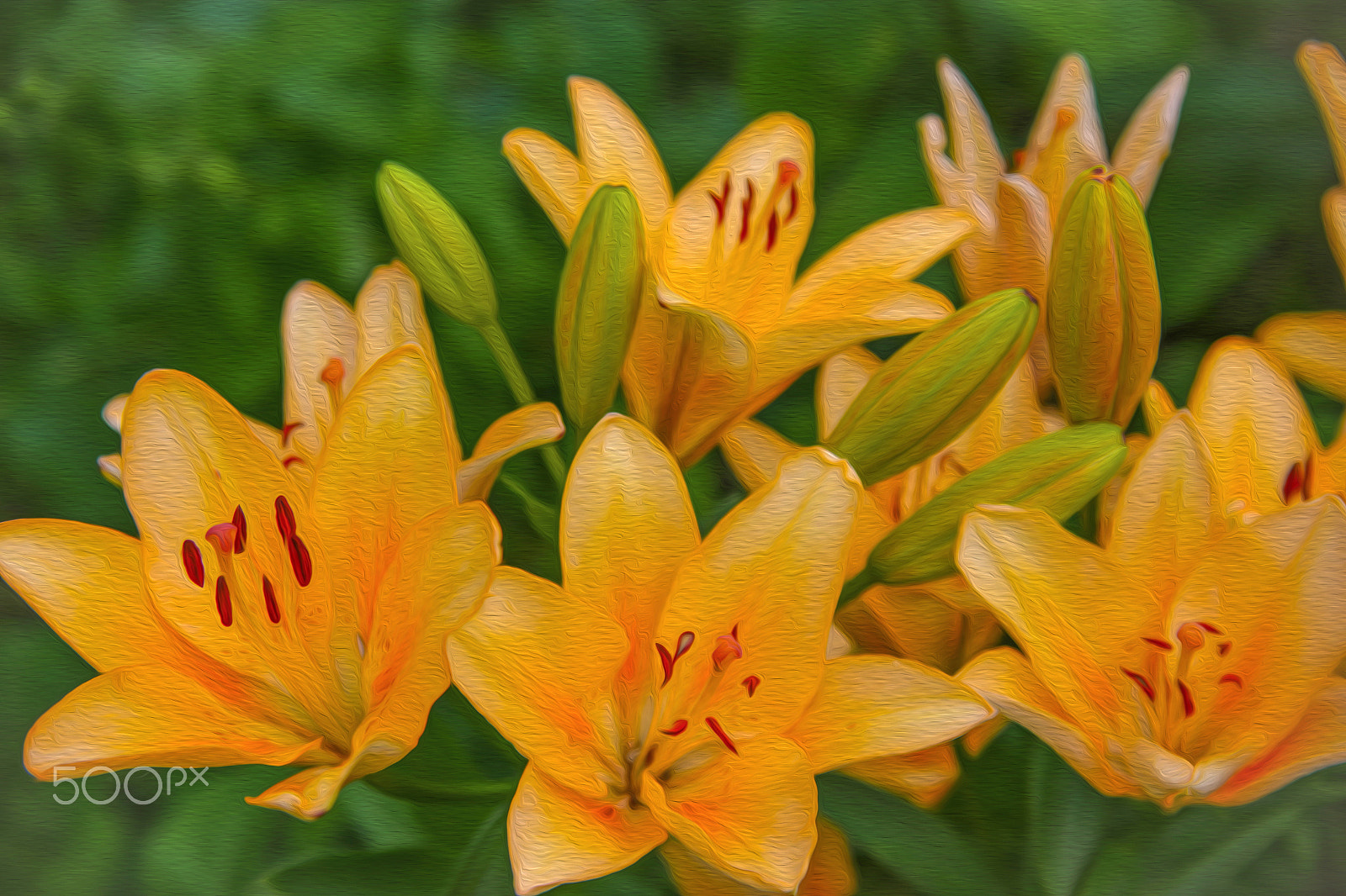 Canon EF 28-80mm f/2.8-4L sample photo. Lilia's flowers in a garden photography