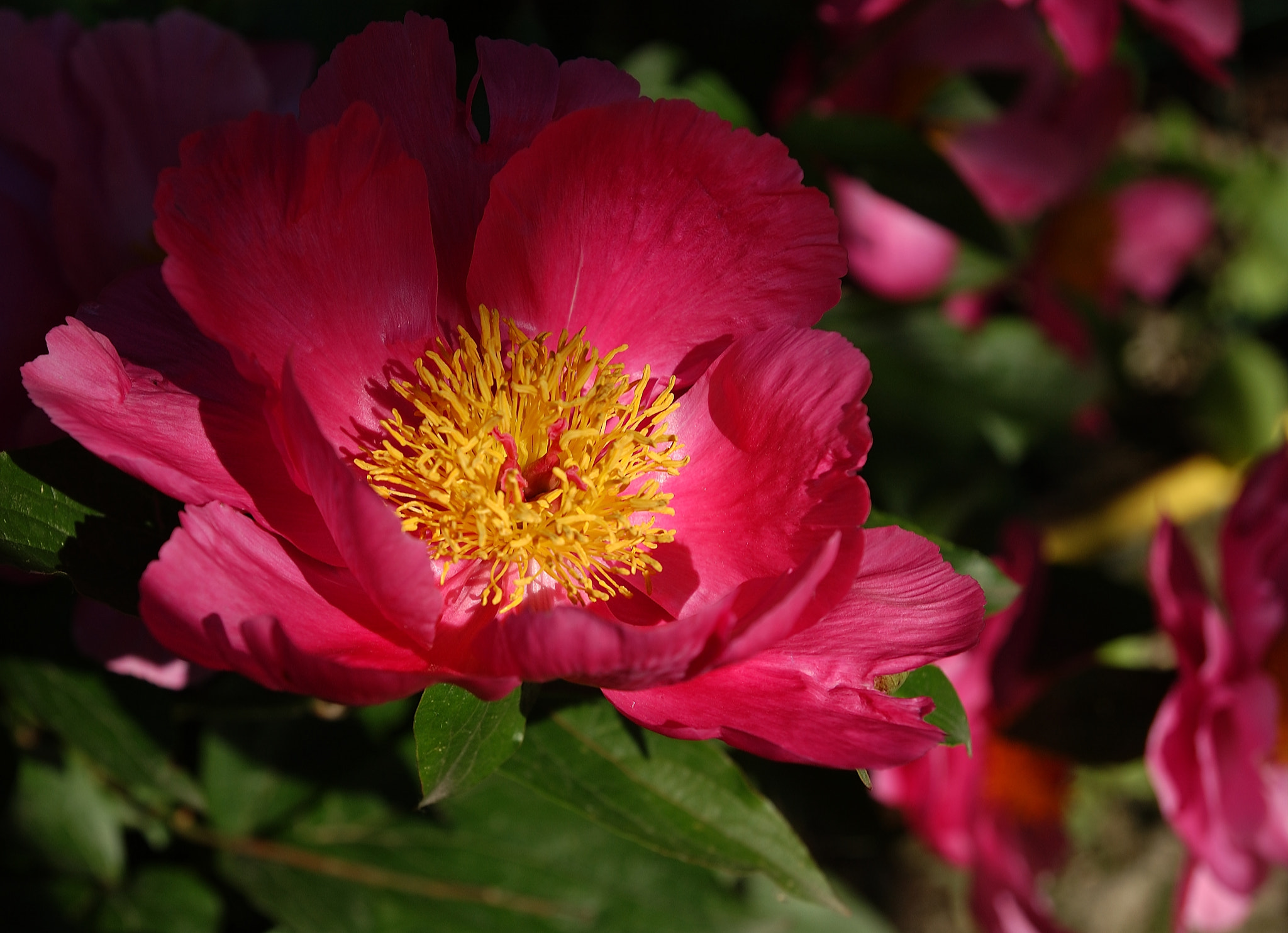 Nikon D1X sample photo. Lumiere photography