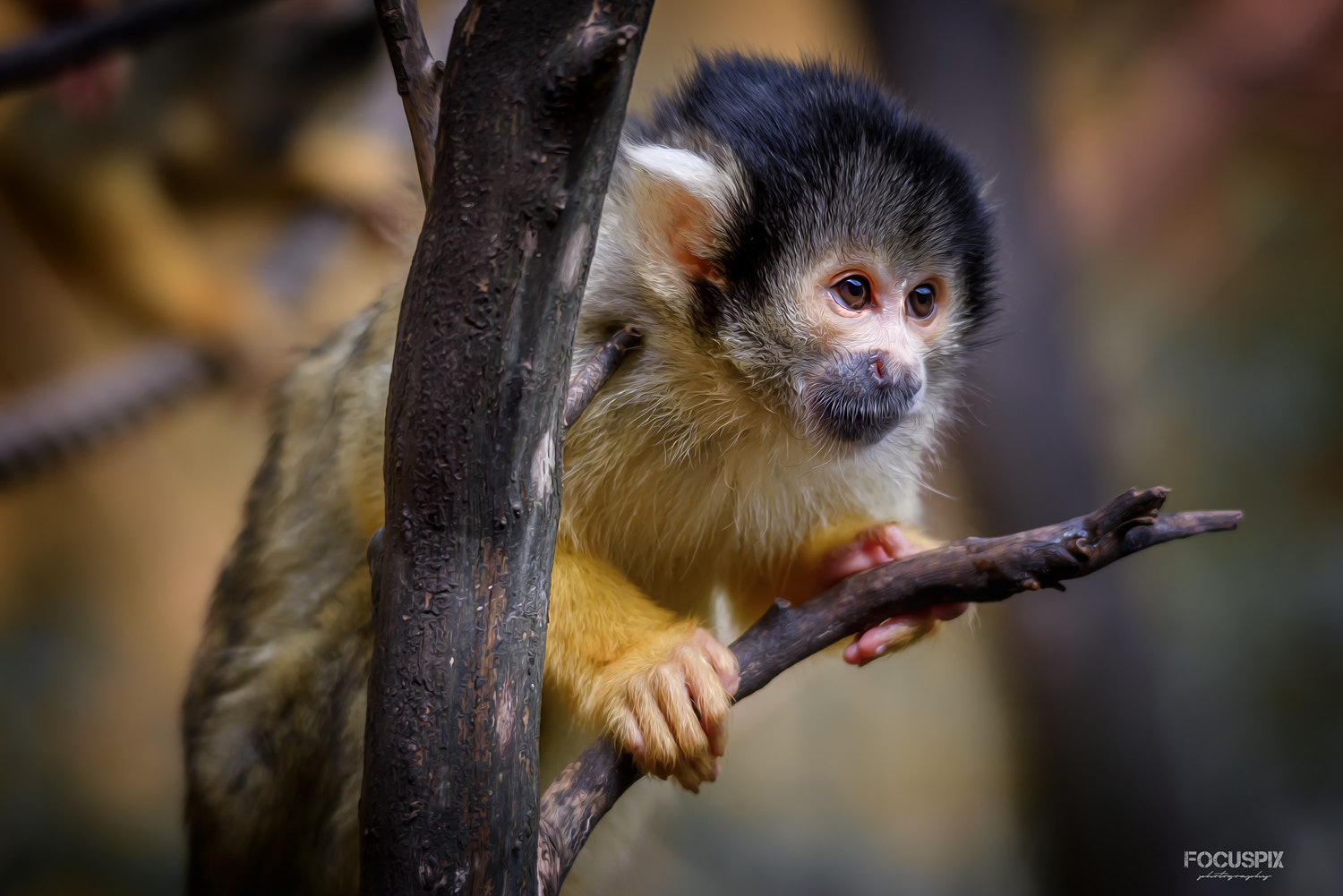 Sigma 120-400mm F4.5-5.6 DG OS HSM sample photo. Baby photography
