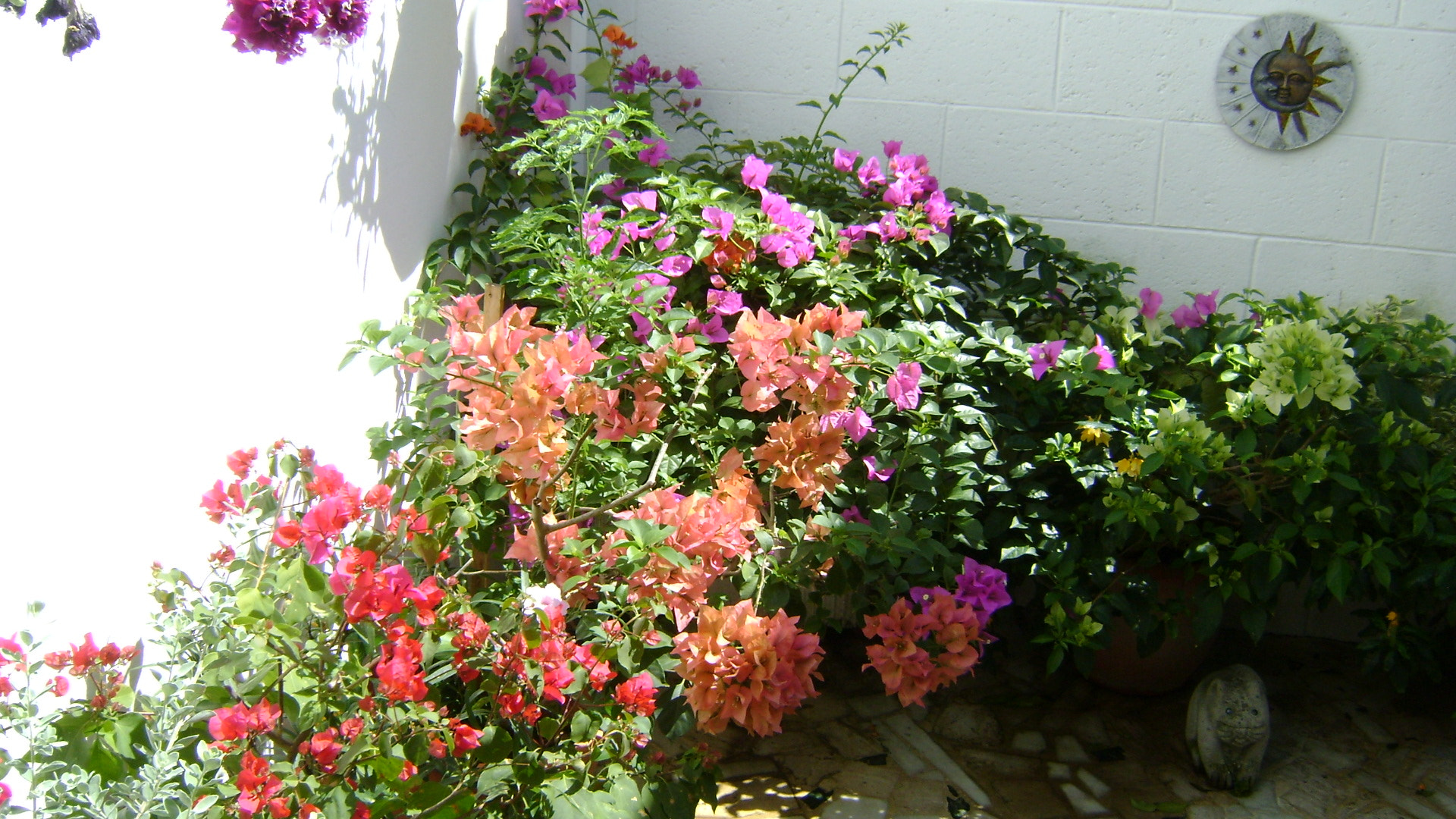 Sony DSC-S730 sample photo. Foto photography