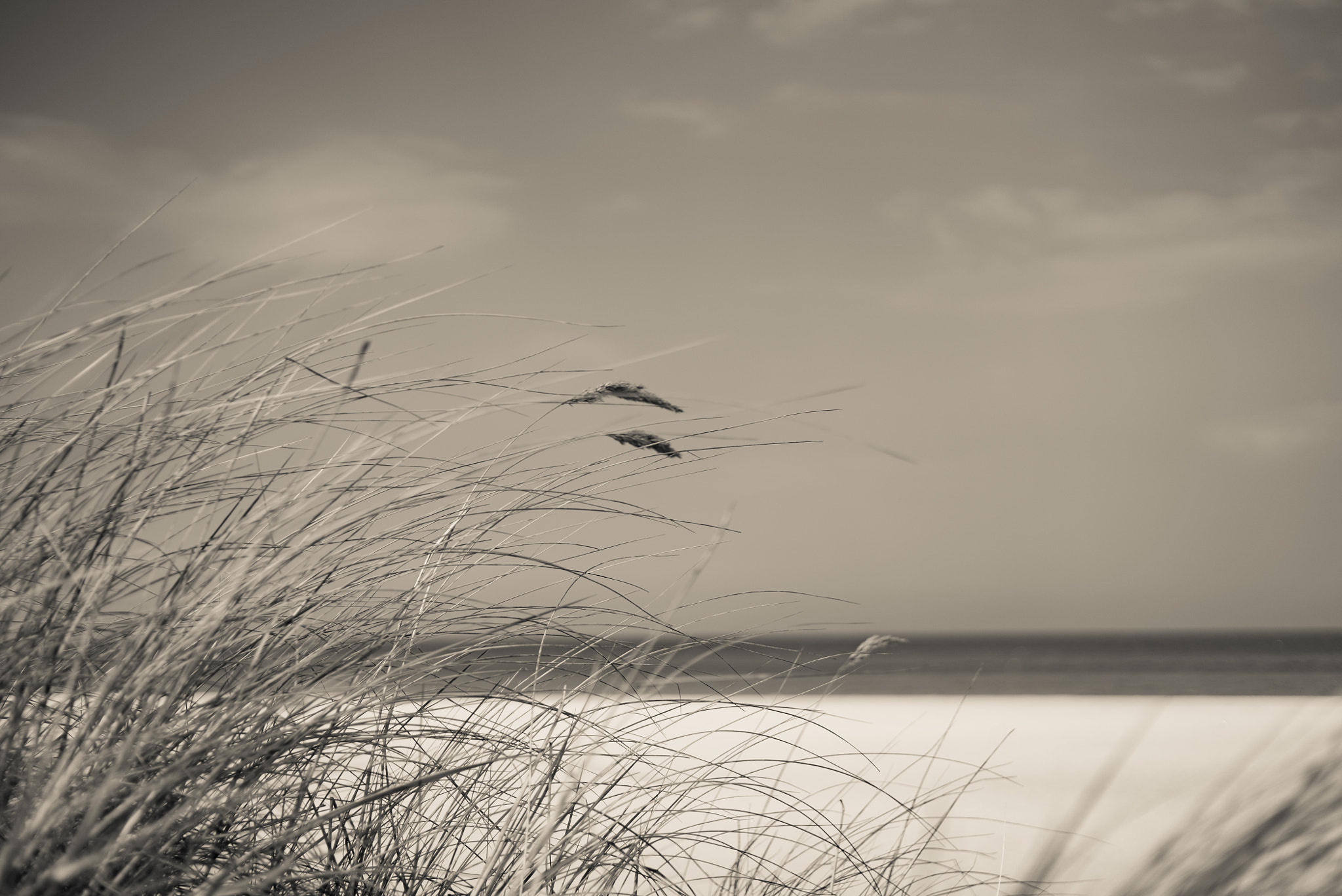 E 50mm F2 sample photo. Faded memory photography