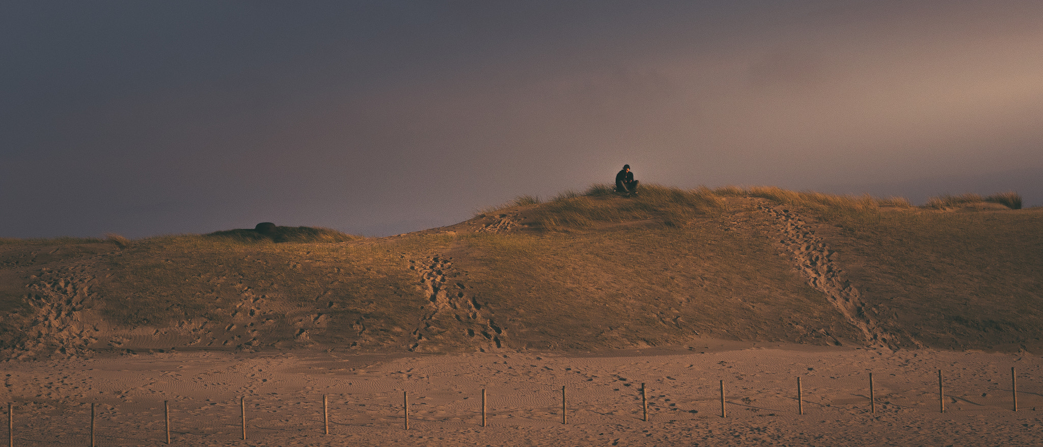 Olympus OM-D E-M5 II + Olympus M.Zuiko Digital ED 75mm F1.8 sample photo. Alone on dune photography