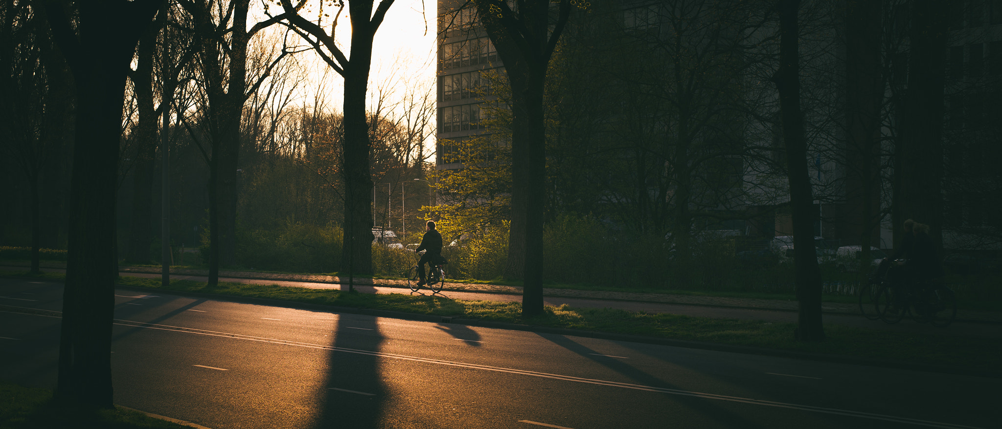 Leica Summilux-M 50mm F1.4 ASPH sample photo. Riding early morning photography