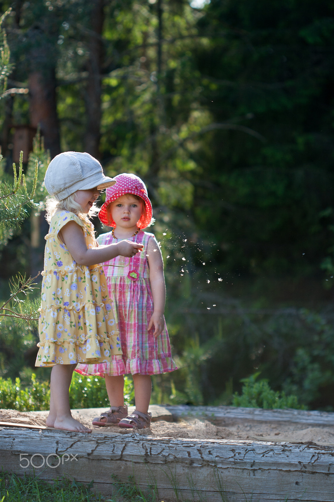 Canon EF 100mm F2.8 Macro USM sample photo. Best friends photography