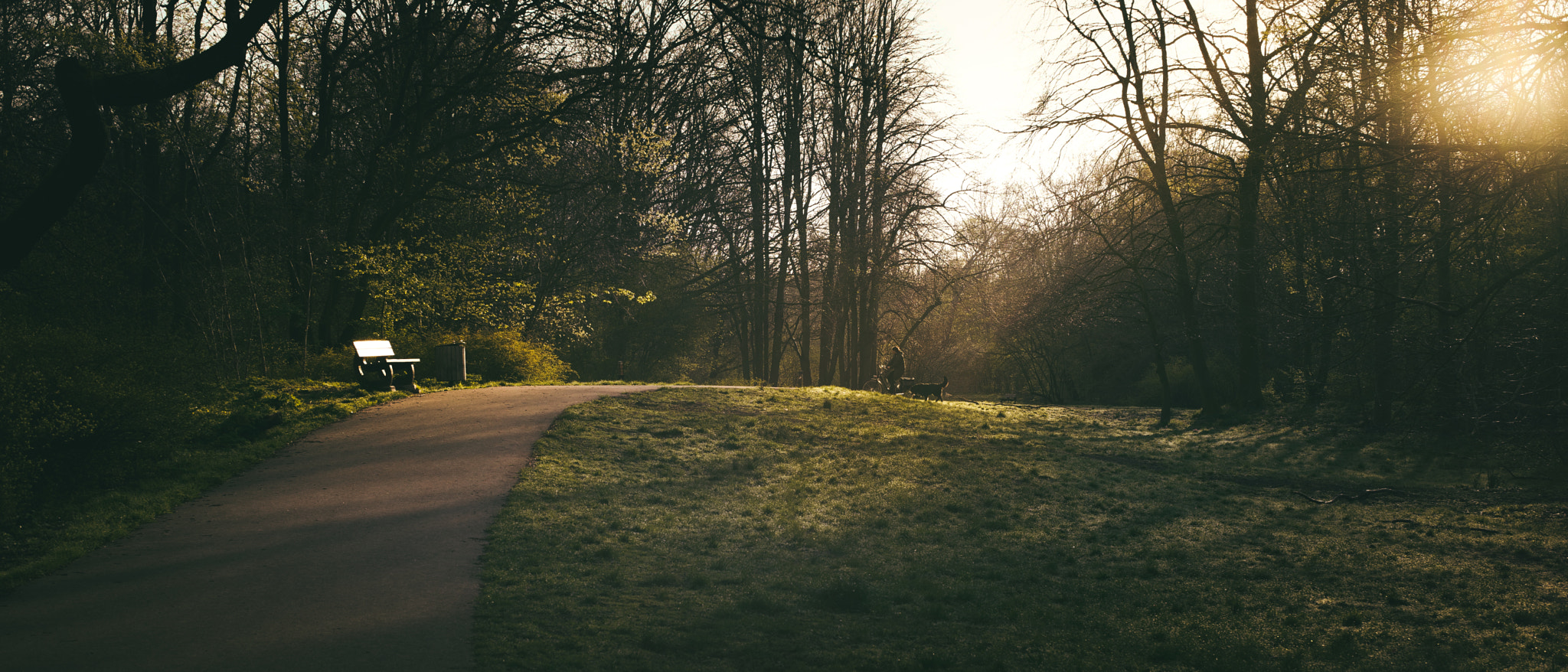 Leica Summilux-M 50mm F1.4 ASPH sample photo. Our morning photography