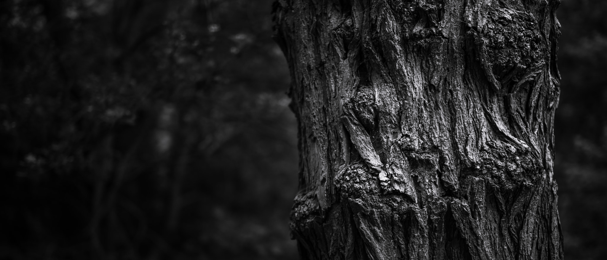 Leica Summilux-M 50mm F1.4 ASPH sample photo. I have seen it all photography