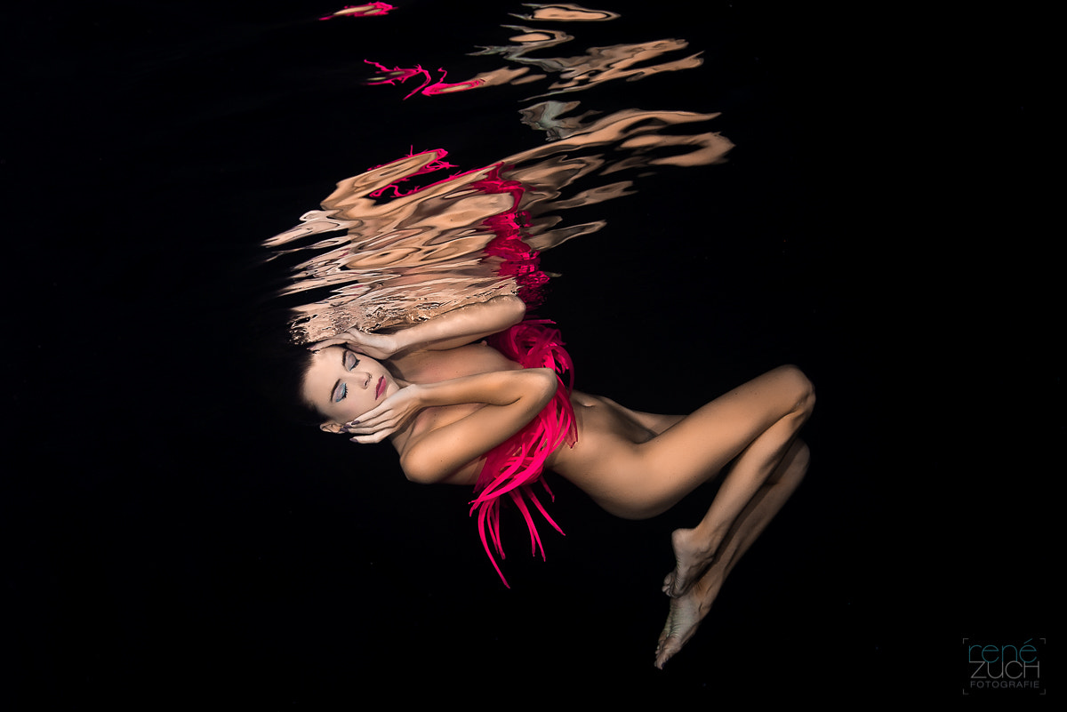 Nikon D800 + Sigma 15mm F2.8 EX DG Diagonal Fisheye sample photo. Dreaming underwater photography