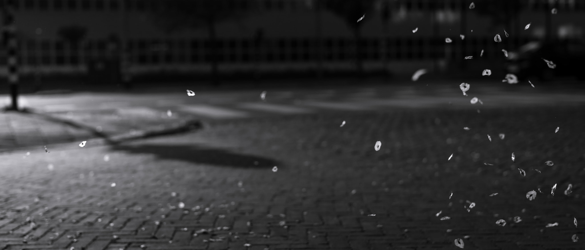 Leica Summilux-M 50mm F1.4 ASPH sample photo. Floats photography