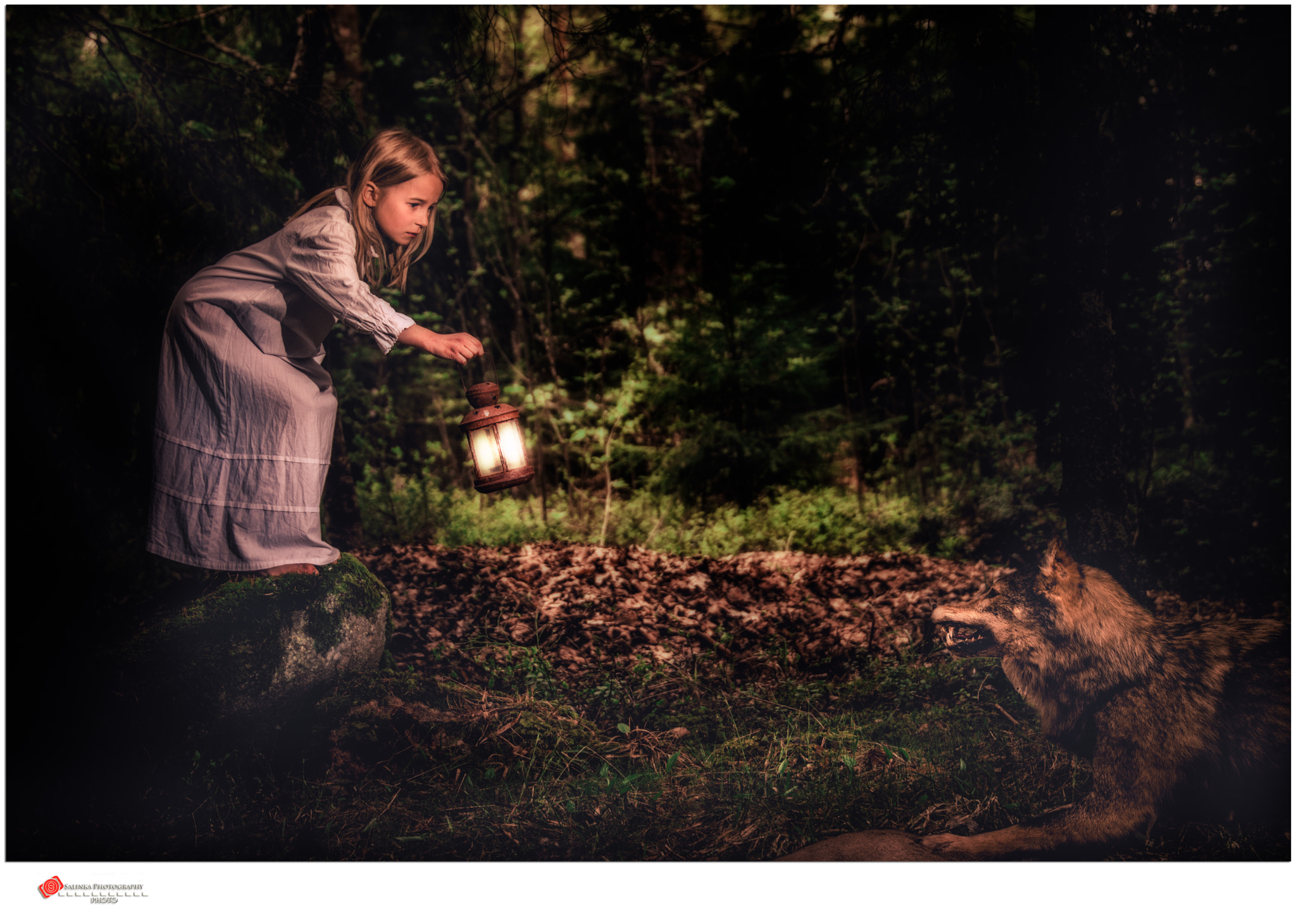 Nikon D7100 + Sigma 24-105mm F4 DG OS HSM Art sample photo. Lilja in the woods met a wolf photography