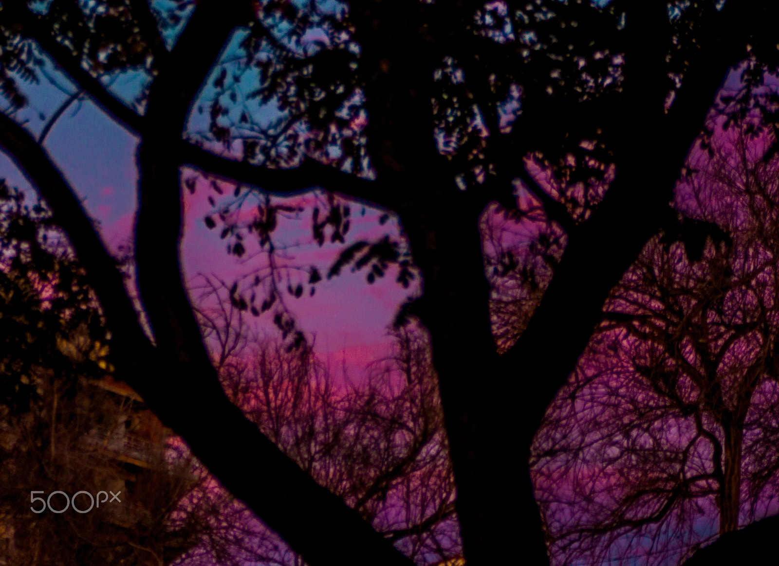 Tamron AF 28-200mm F3.8-5.6 XR Di Aspherical (IF) Macro sample photo. Pink fluid on the blue sky photography