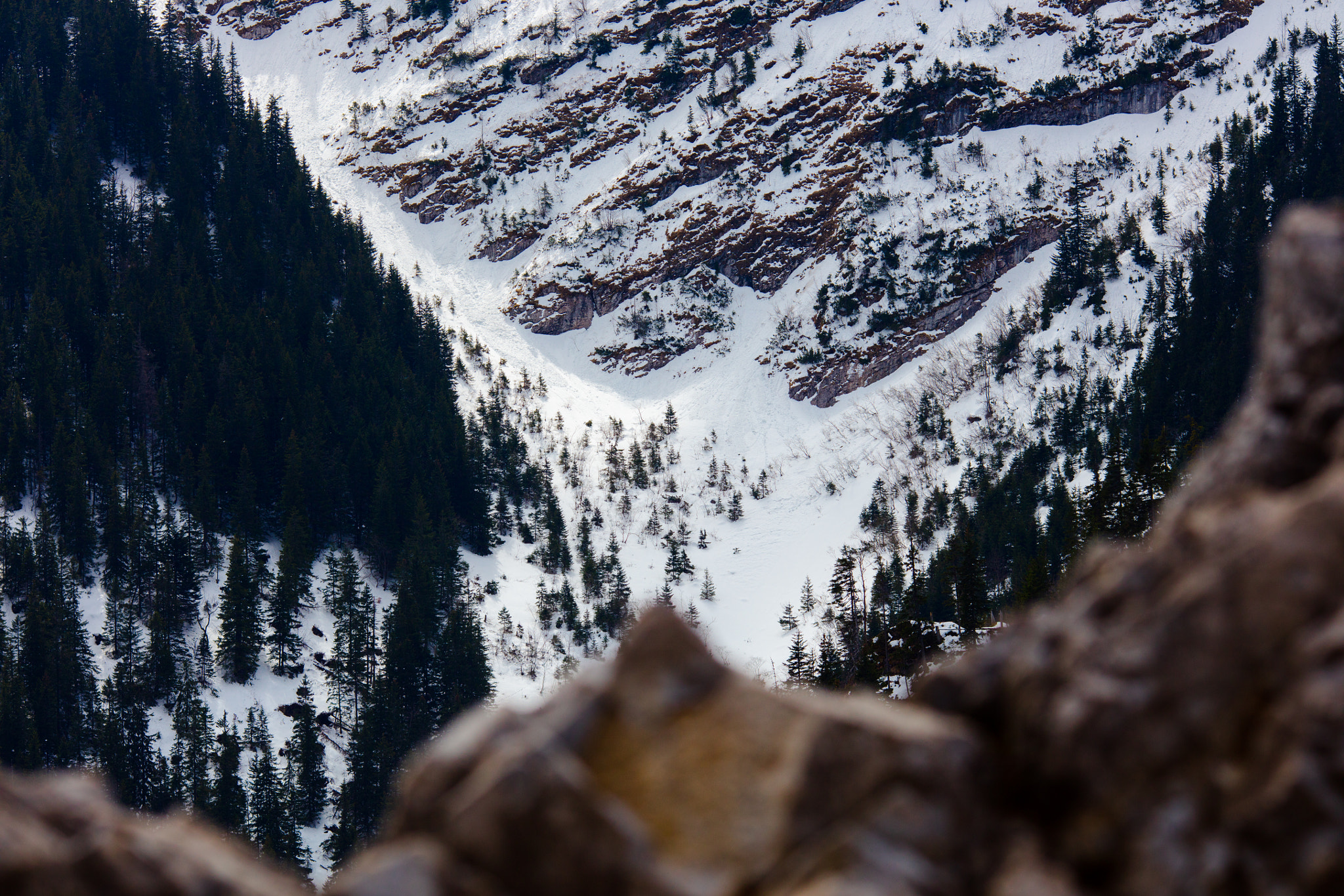 Canon EF 135mm F2L USM sample photo. Thank you from the mountain photography