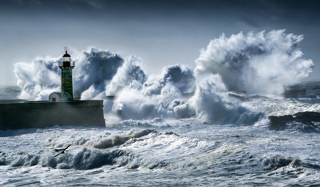 Jetty Jumper by Eduardo Teixeira de Sousa / 500px