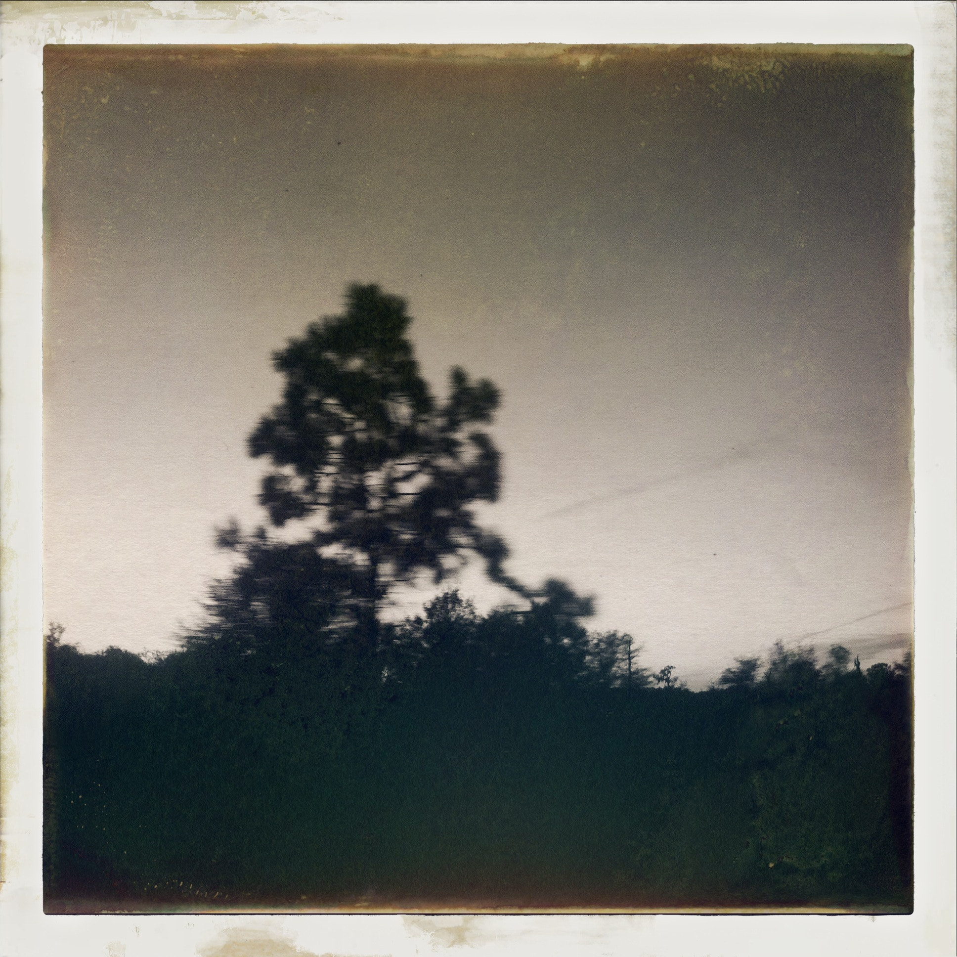 Hipstamatic 279 sample photo. Img_1266.jpg photography