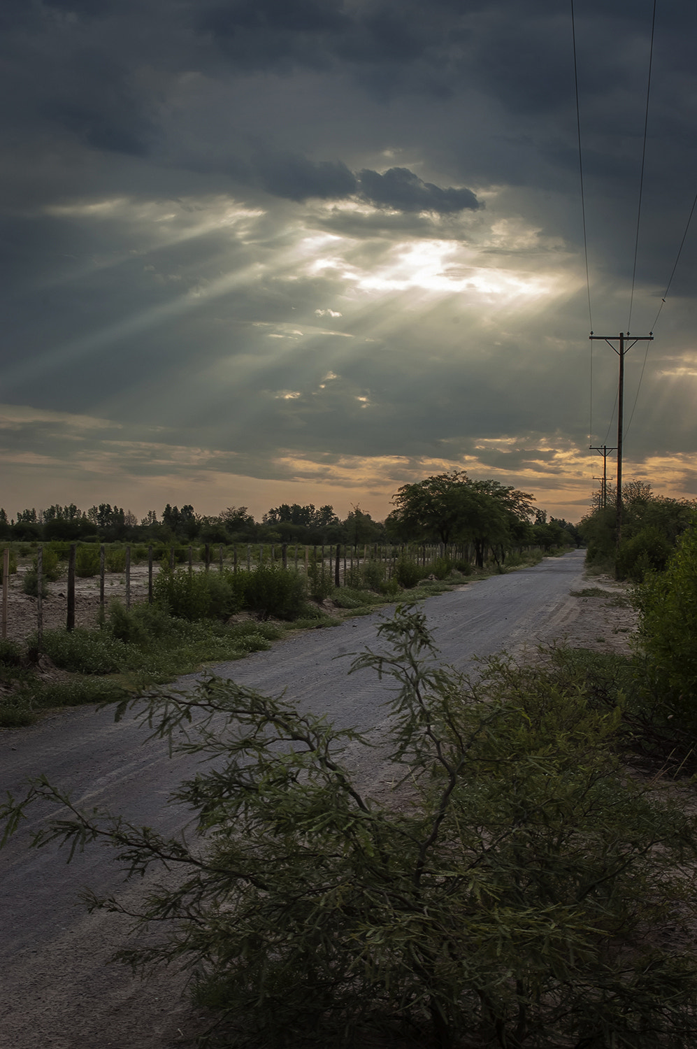 AF Zoom-Nikkor 35-80mm f/4-5.6D N sample photo. Luz photography