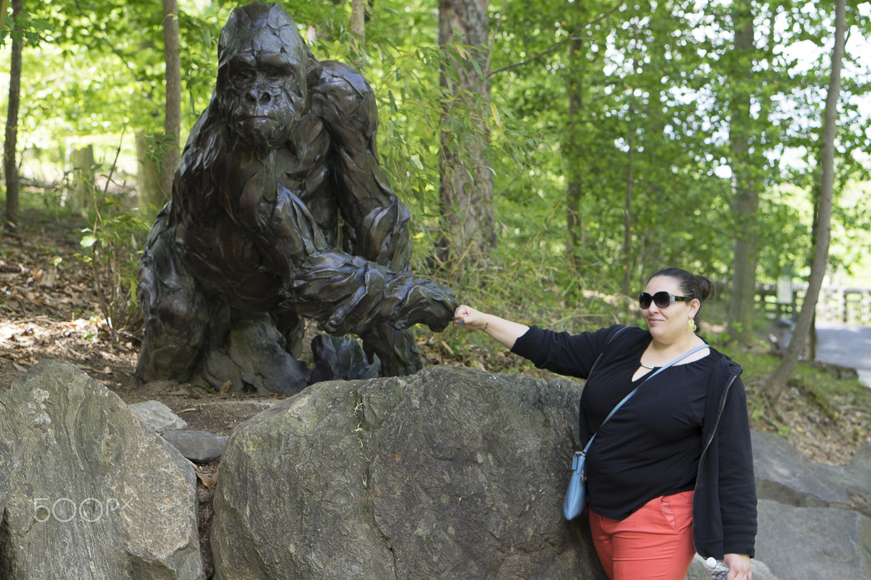 E 50mm F1.8 OSS sample photo. Maryland zoo photography