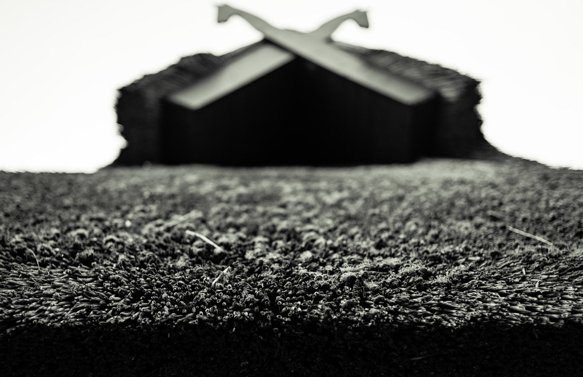 E 50mm F2 sample photo. Reed roof photography