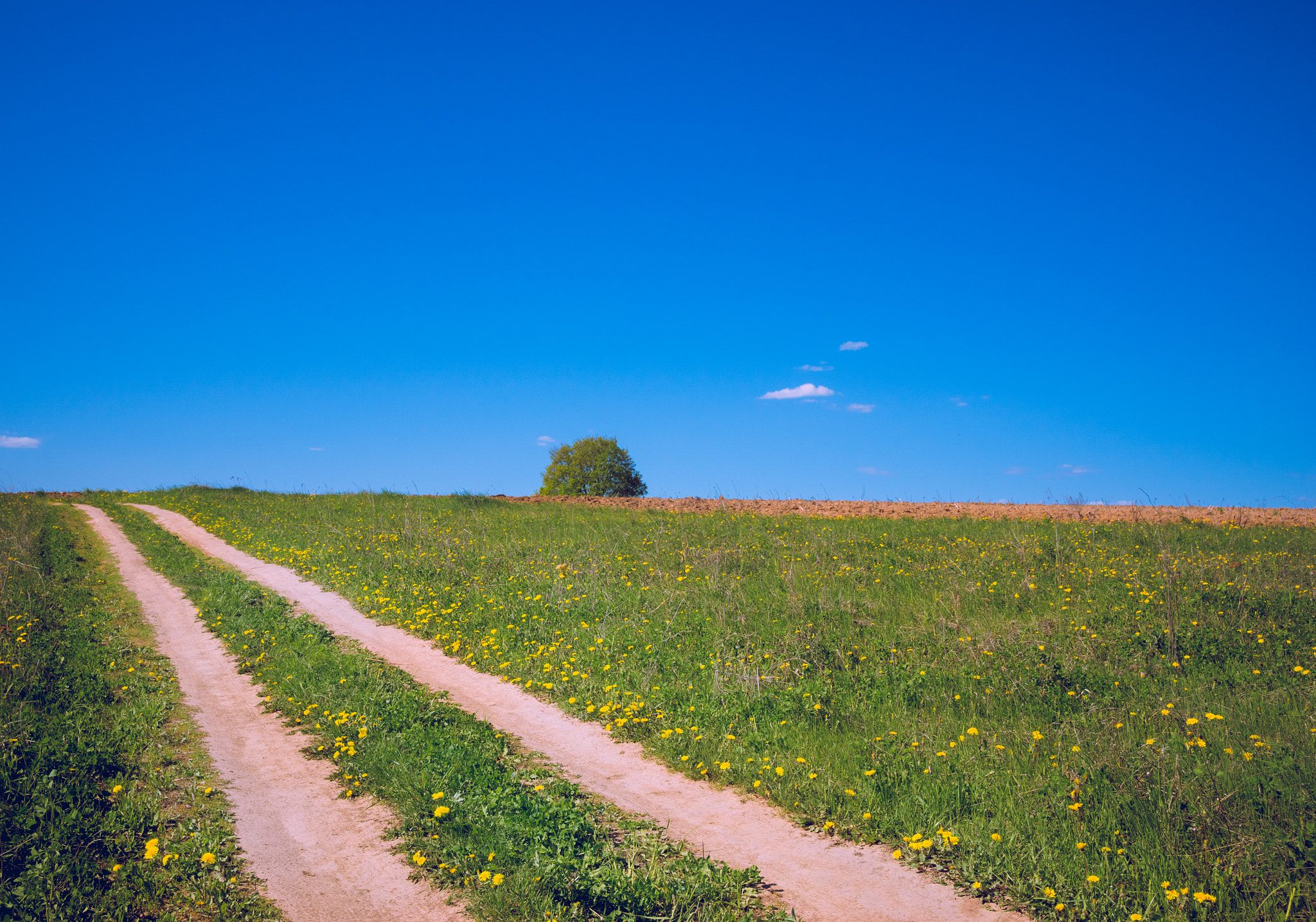 Sony ILCA-77M2 + Sigma 17-50mm F2.8 EX DC HSM sample photo. Поле photography