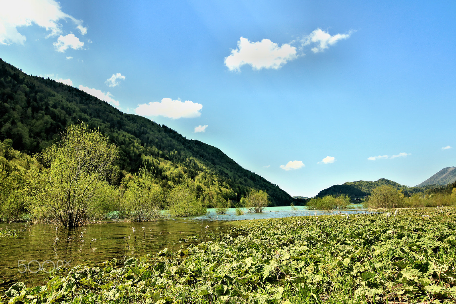 Canon EOS 750D (EOS Rebel T6i / EOS Kiss X8i) sample photo. Faistenau/hintersee1 photography