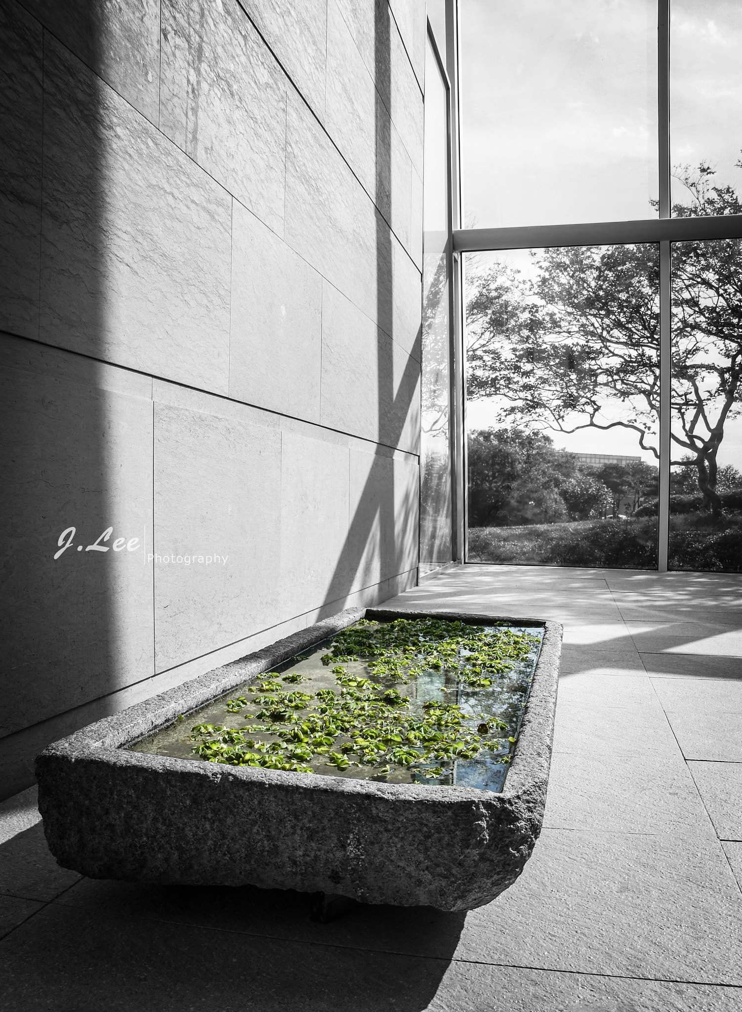 Sony SLT-A33 sample photo. Tranquility photography