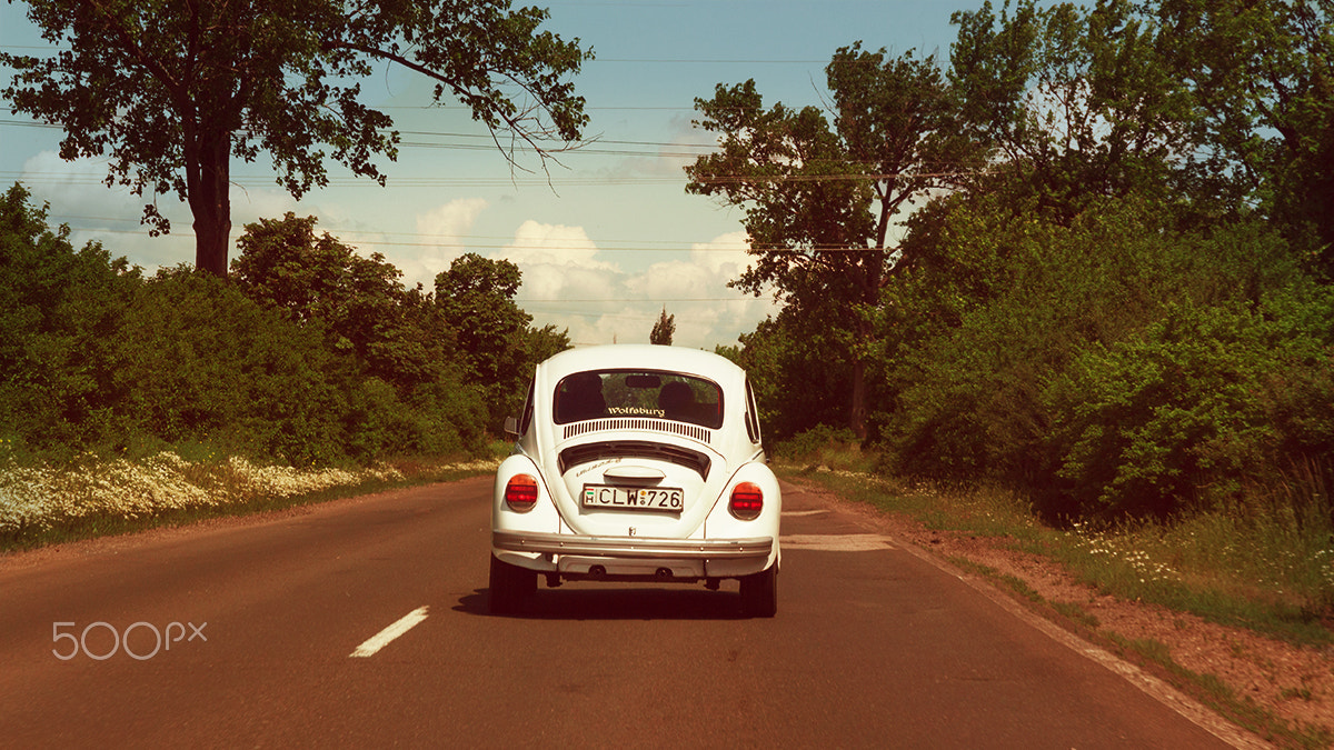 Sigma 17-70mm F2.8-4 DC Macro OS HSM sample photo. Retro beetle photography