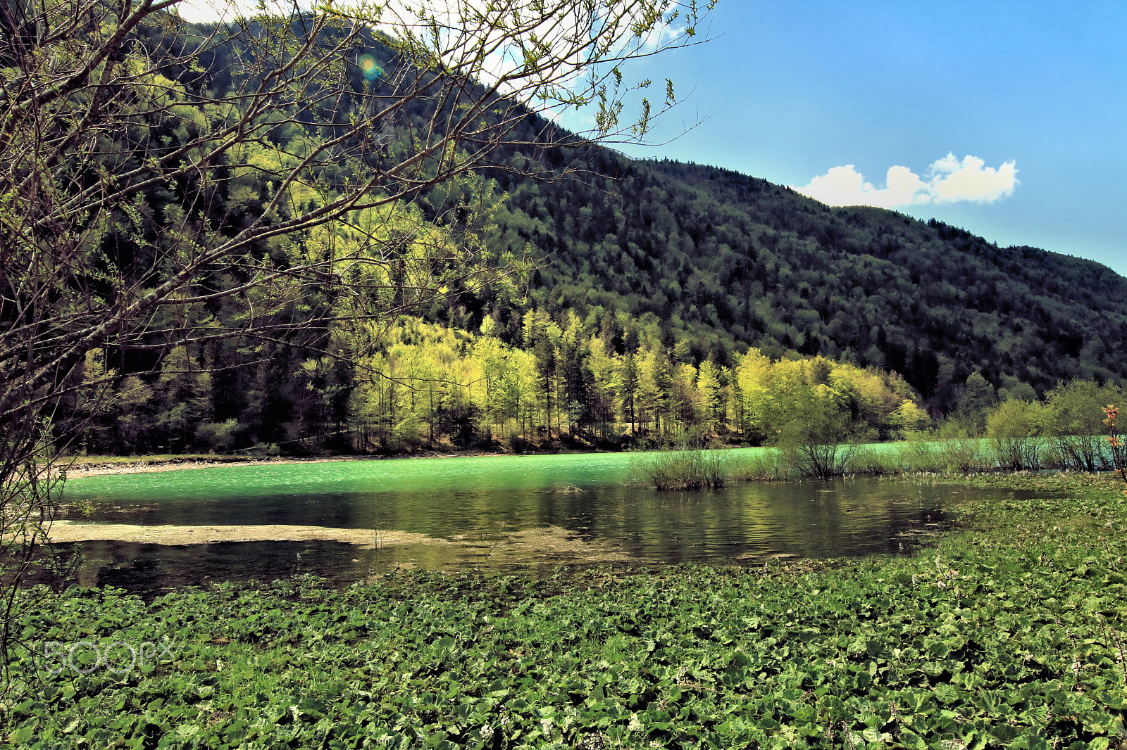 Canon EOS 750D (EOS Rebel T6i / EOS Kiss X8i) sample photo. Faistenau/hintersee3 photography