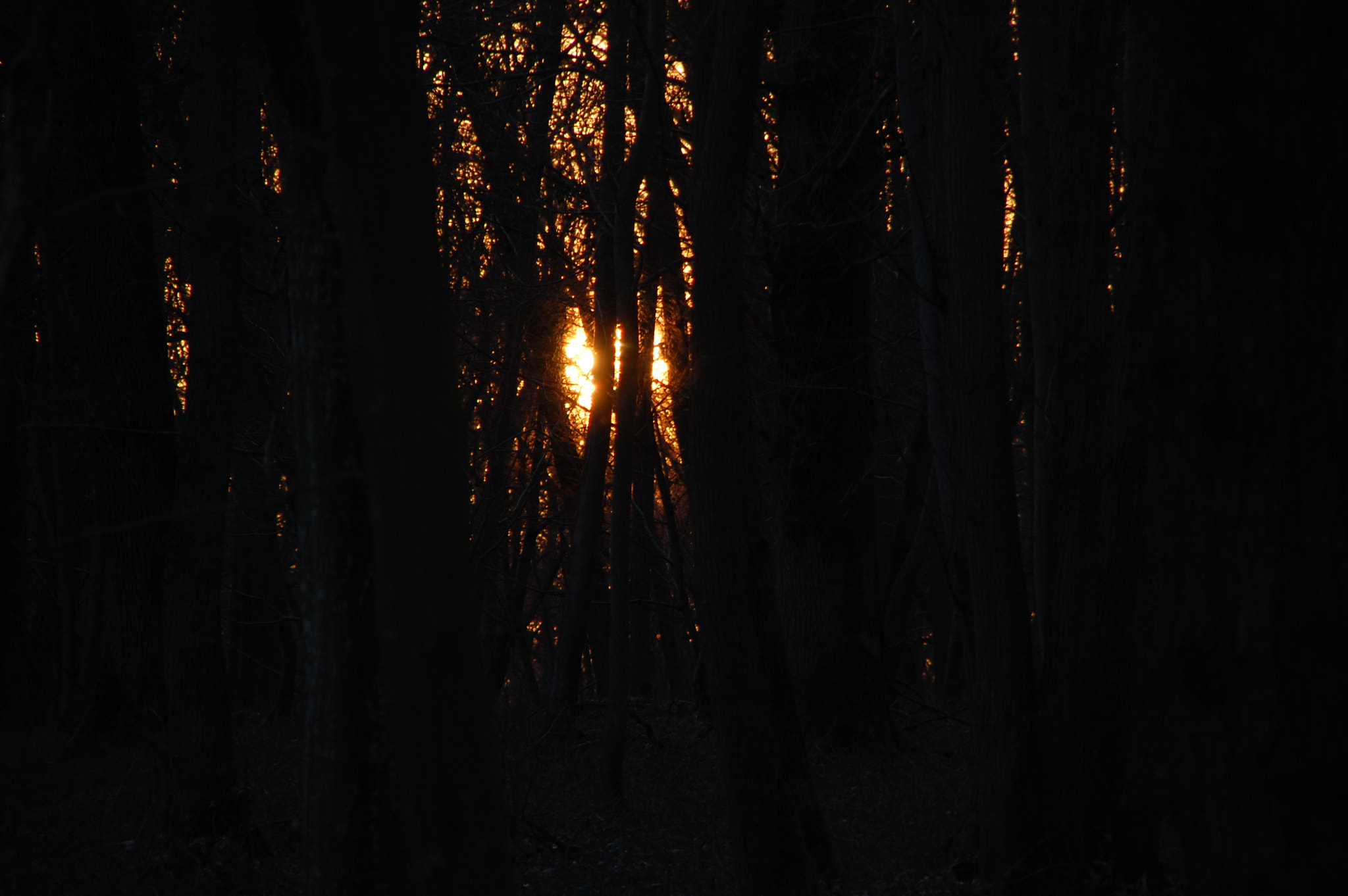 Nikon D40 + Sigma 18-200mm F3.5-6.3 DC sample photo. Good night sun photography