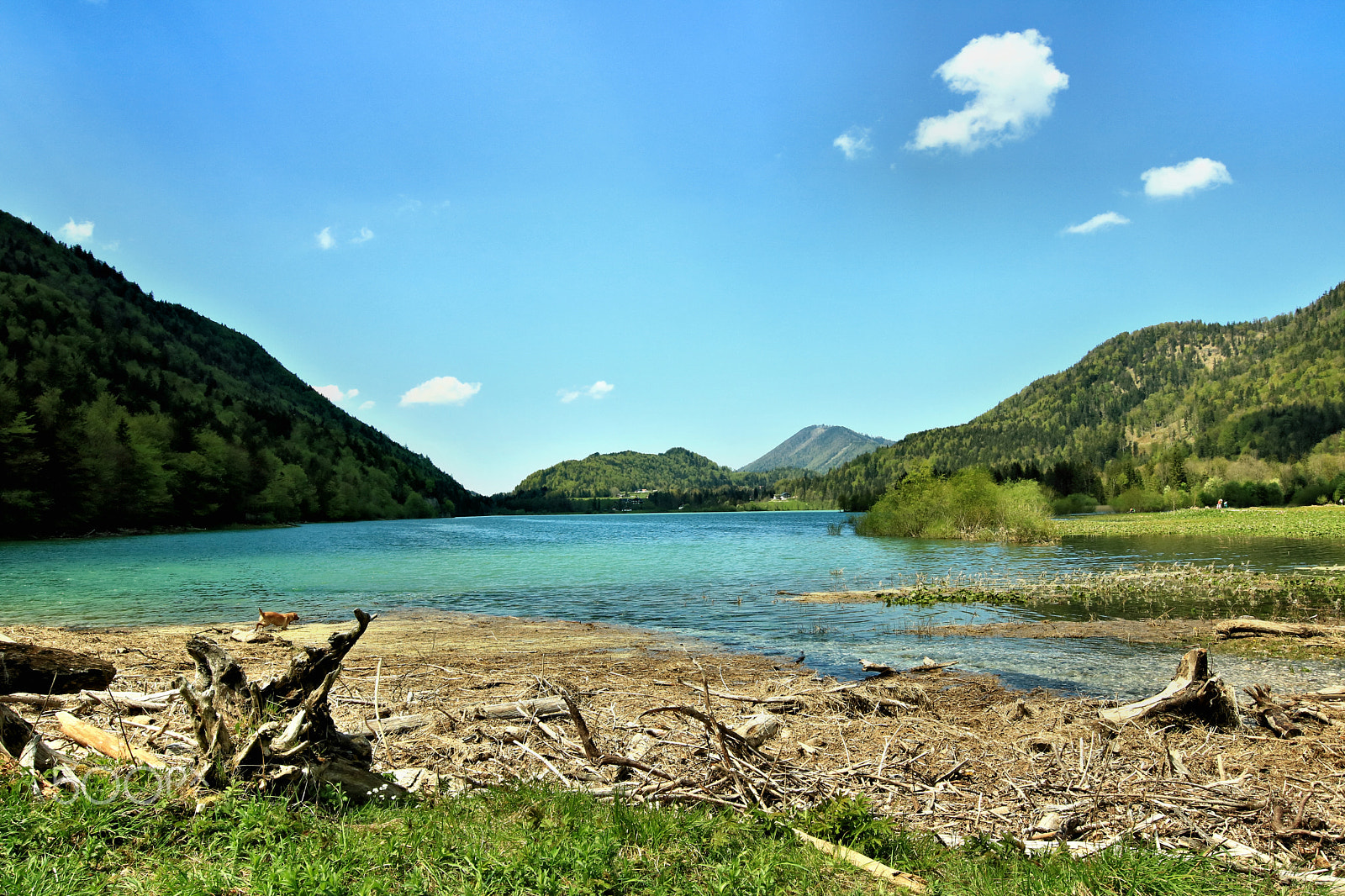 Canon EOS 750D (EOS Rebel T6i / EOS Kiss X8i) sample photo. Faistenau/hintersee4 photography