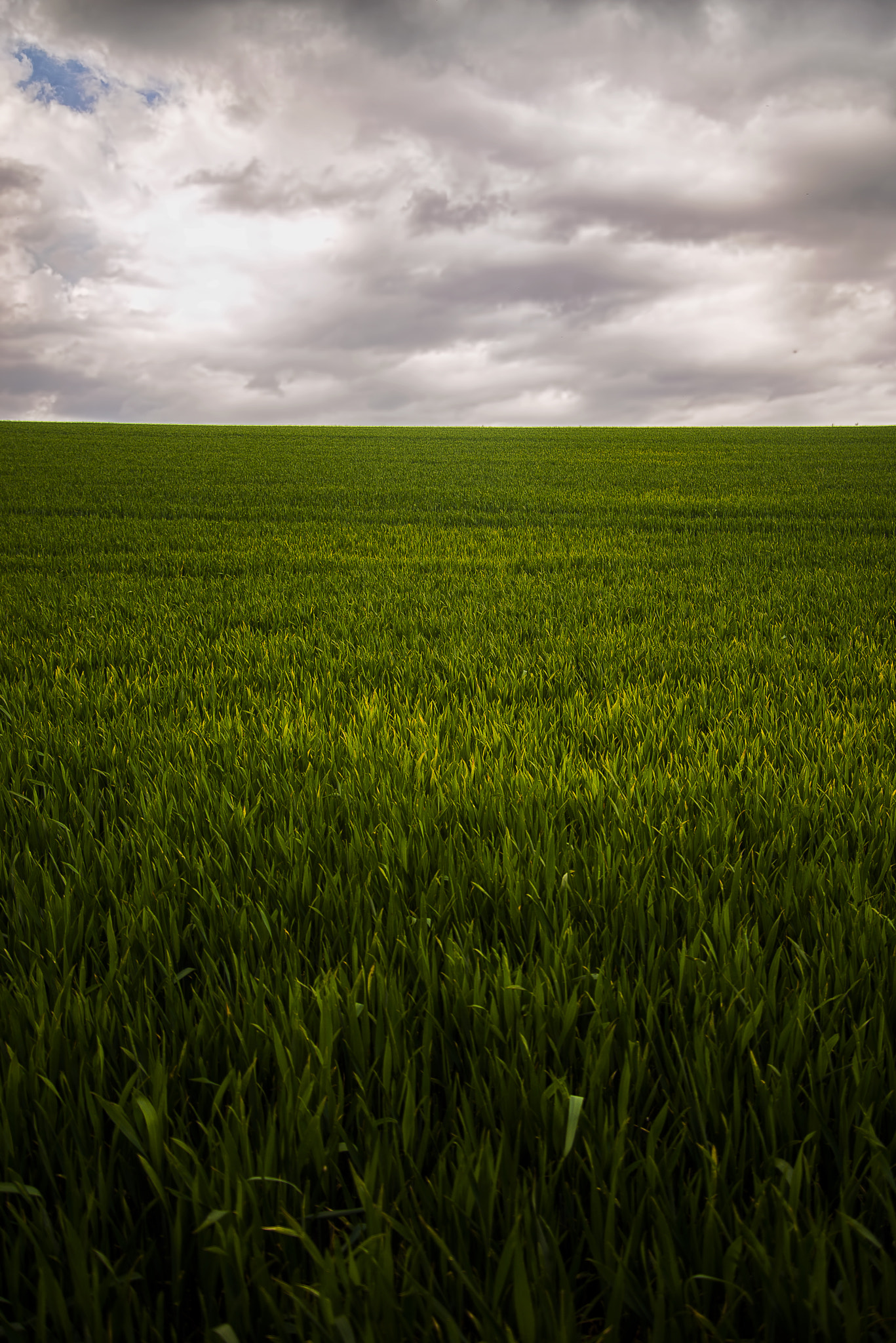 Nikon D800E sample photo. Poetry of earth. photography