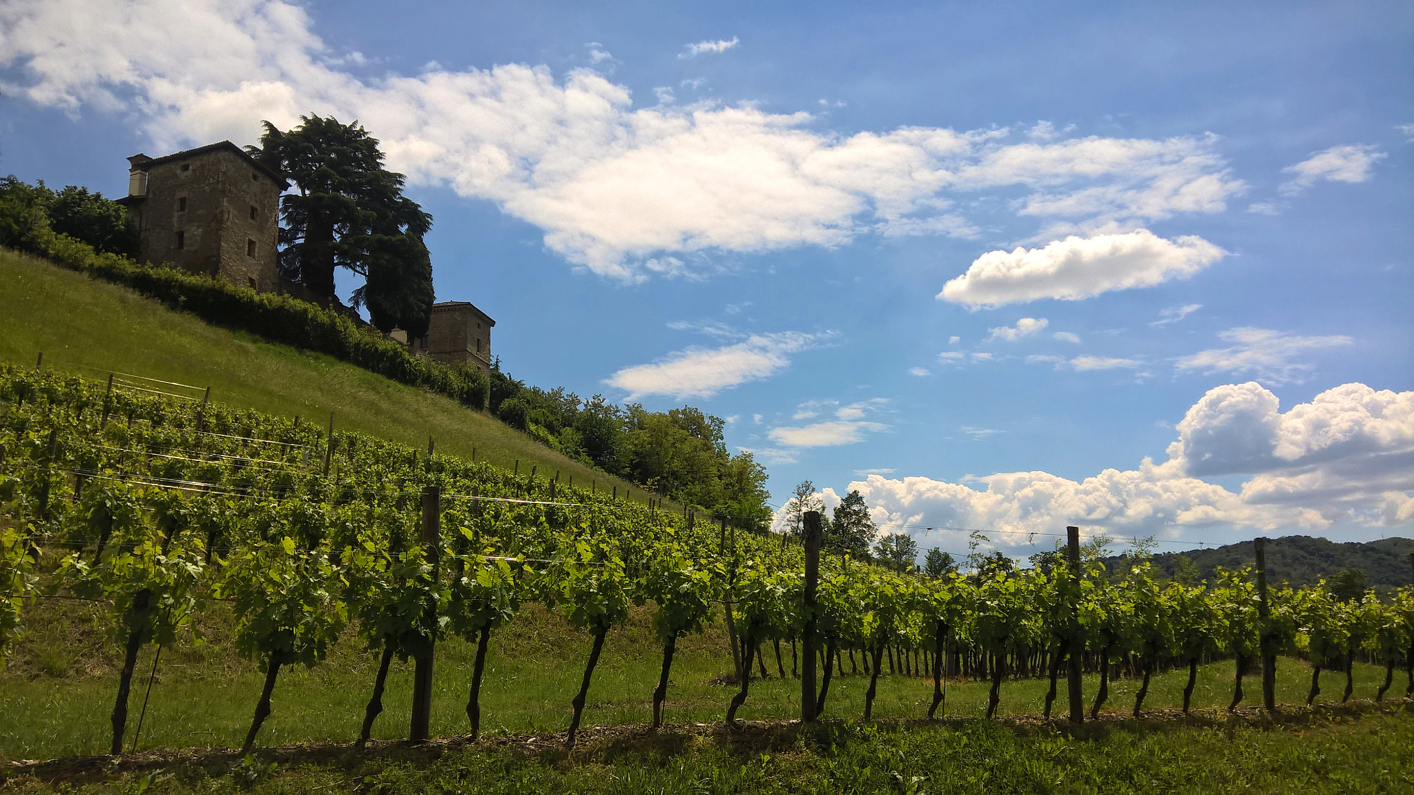 Microsoft Lumia 640 XL sample photo. Castle of trussio photography