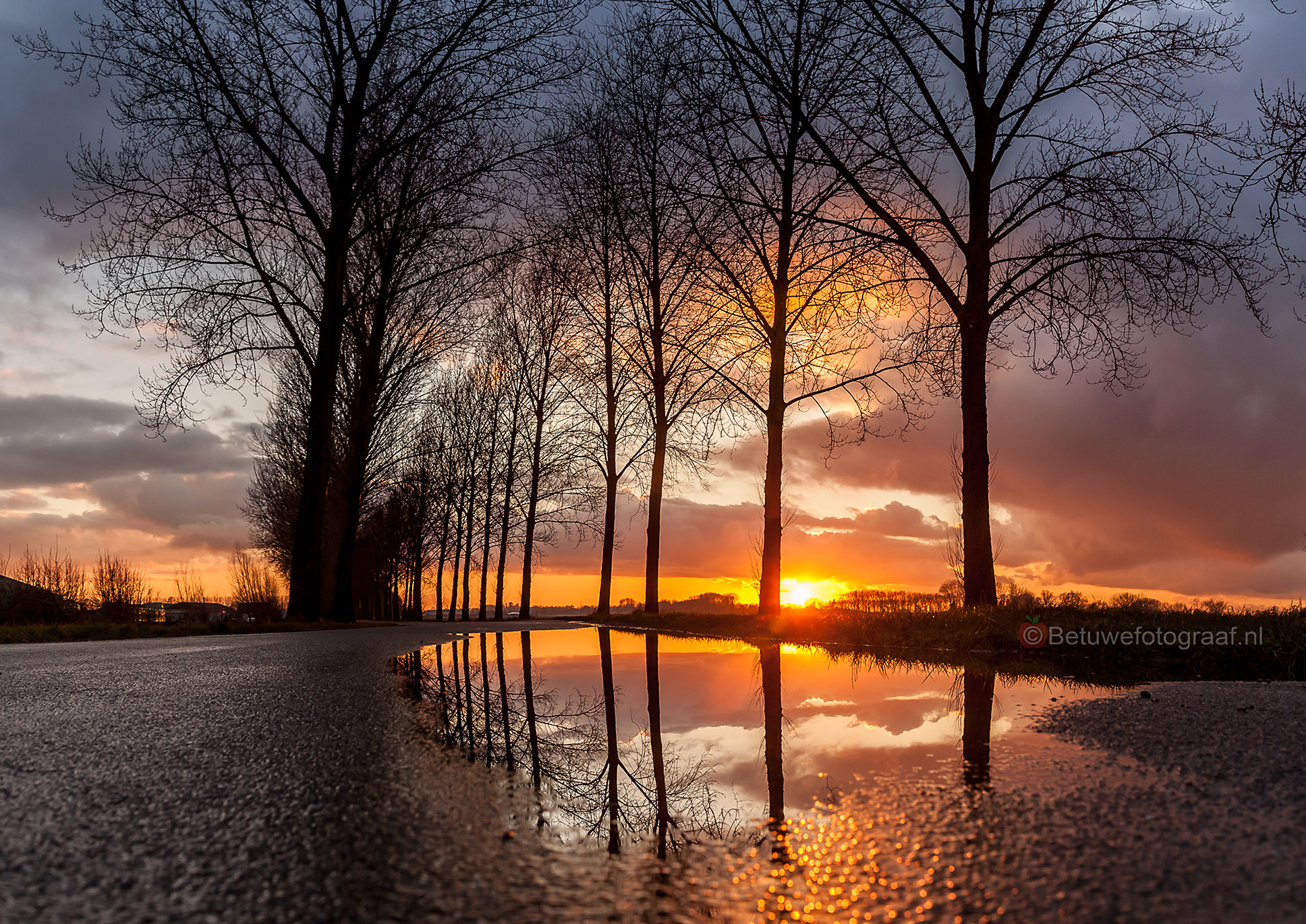 Canon EOS 5D Mark II + Sigma 24-105mm f/4 DG OS HSM | A sample photo. Sunset in a puddle....... photography