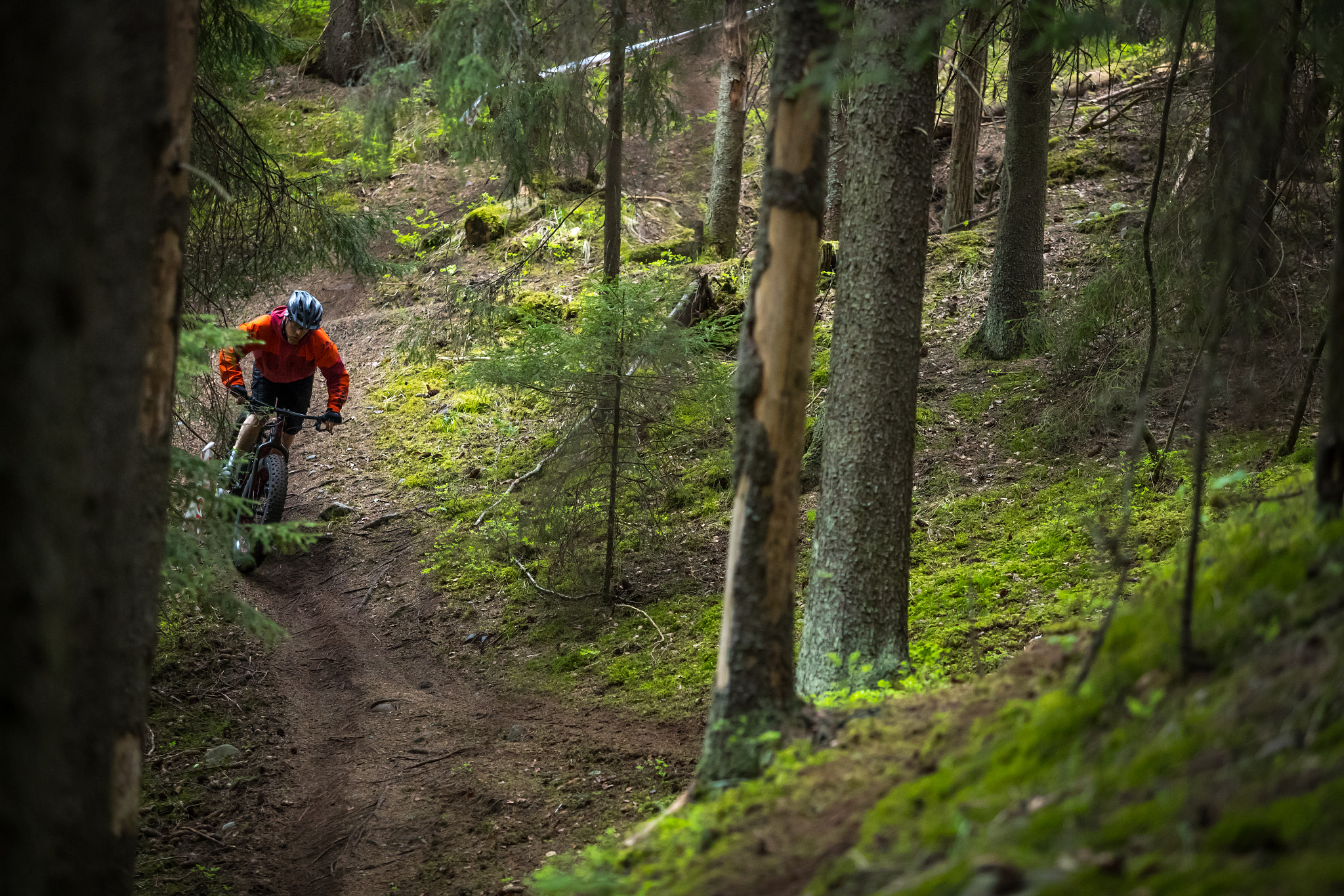 Canon EF 70-200mm F2.8L USM sample photo. Mountaing biking ii photography
