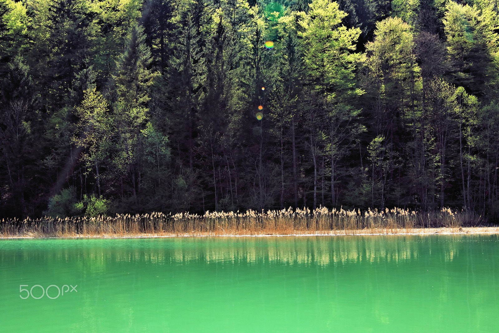 Canon EOS 750D (EOS Rebel T6i / EOS Kiss X8i) sample photo. Faistenau hintersee3 photography
