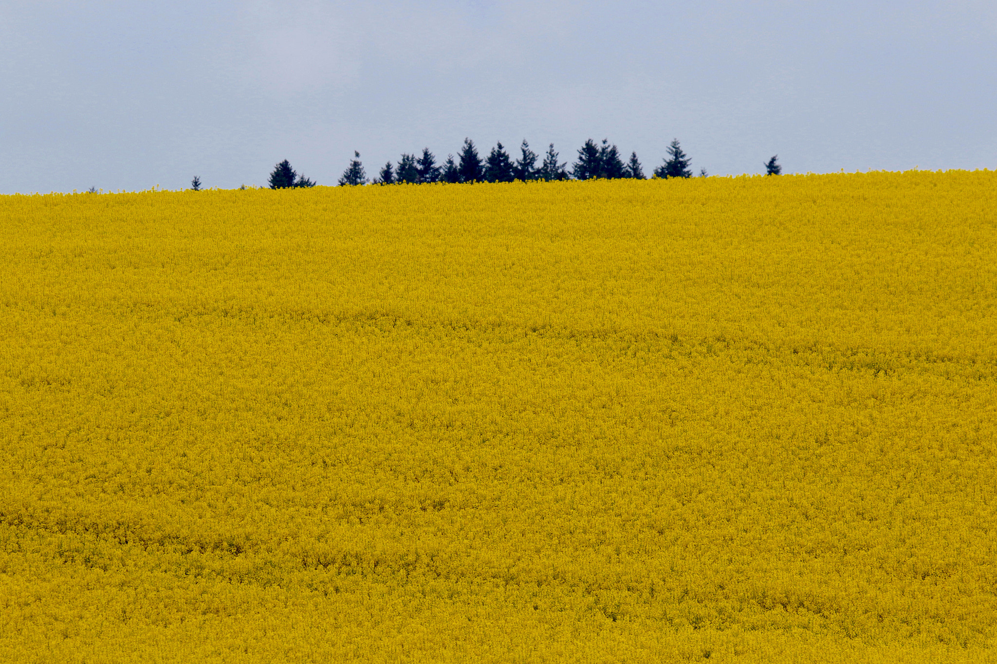 Canon EF 100-400mm F4.5-5.6L IS USM sample photo. Masburg area (germany) photography