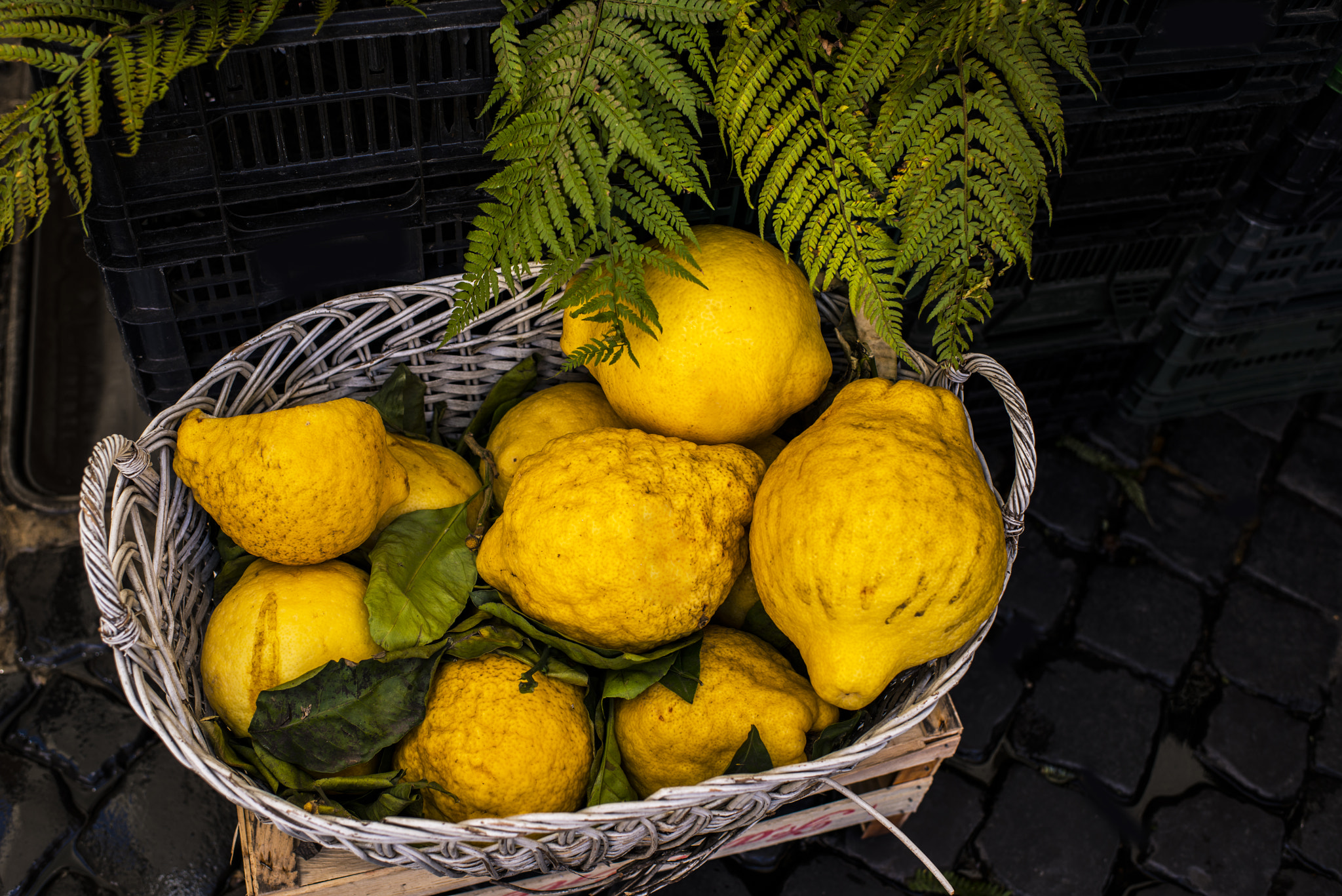 Nikon D800E + Nikon AF-S Nikkor 35mm F1.4G sample photo. Lemon photography