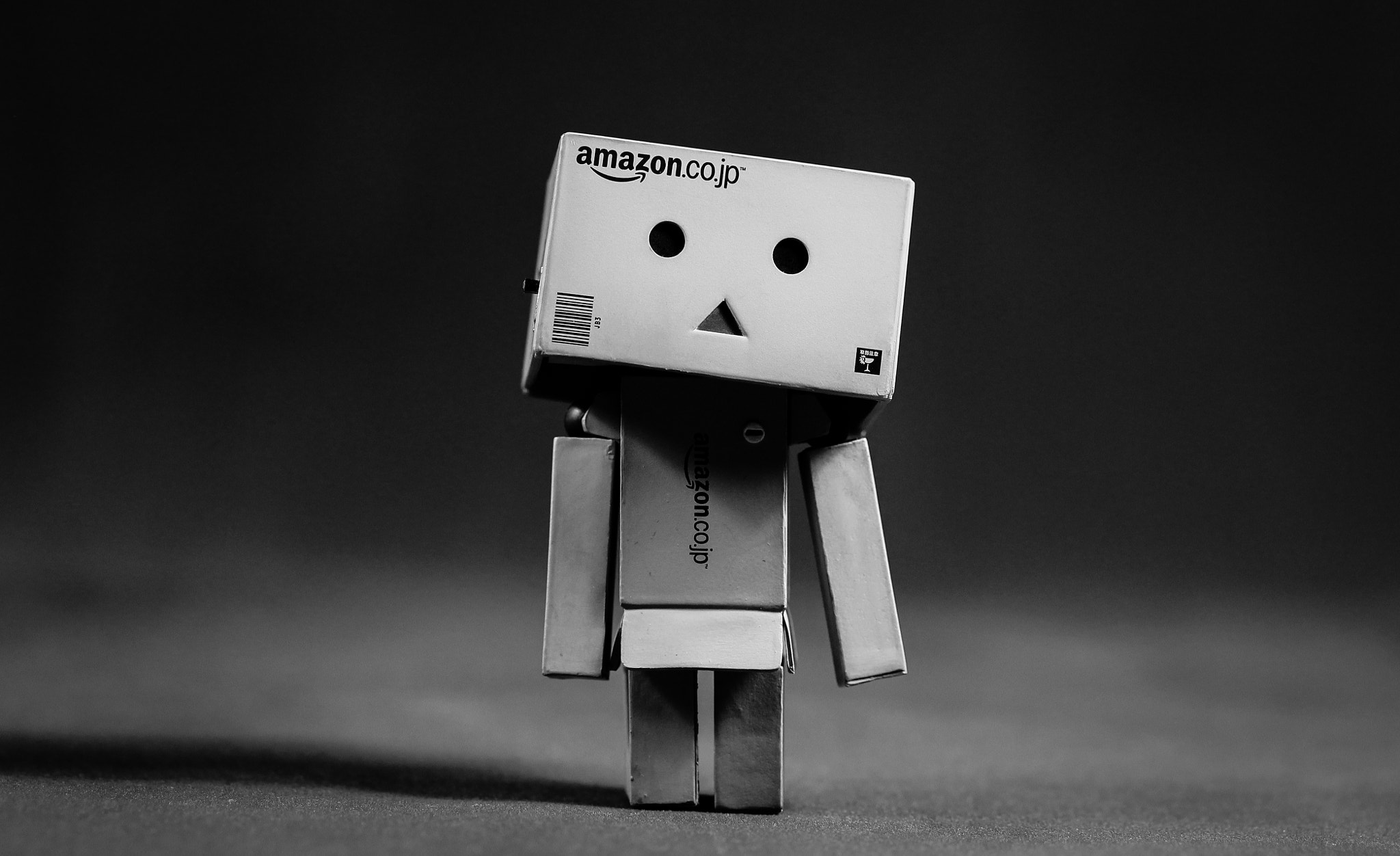 Canon EF-S 60mm F2.8 Macro USM sample photo. Danbo cutie photography