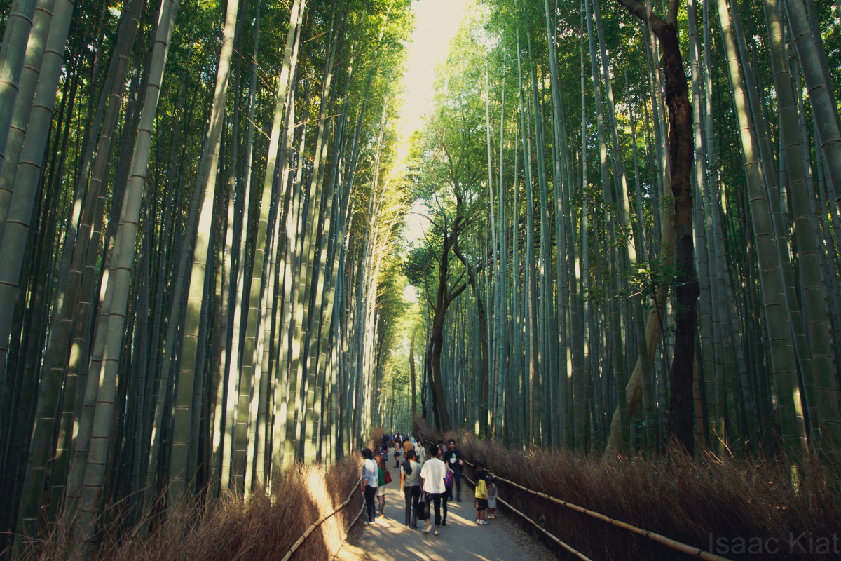 Sigma 20mm EX f/1.8 sample photo. Isaack photography
