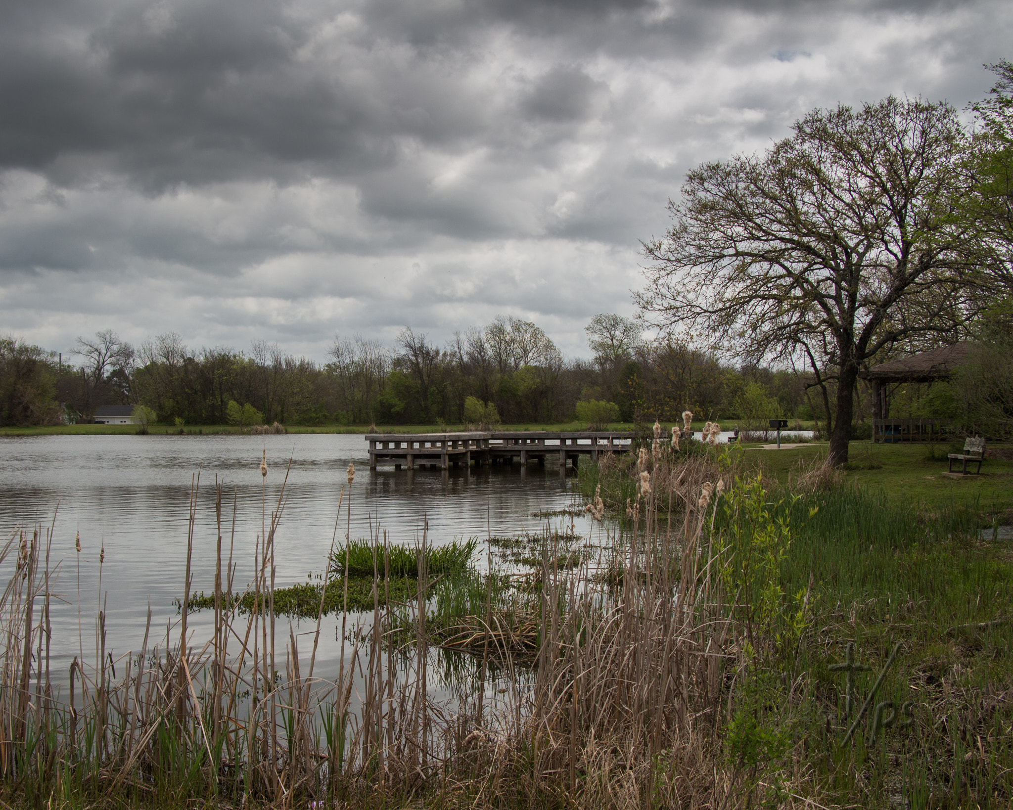 Canon EF-S 18-135mm F3.5-5.6 IS STM sample photo. Sunday storm photography