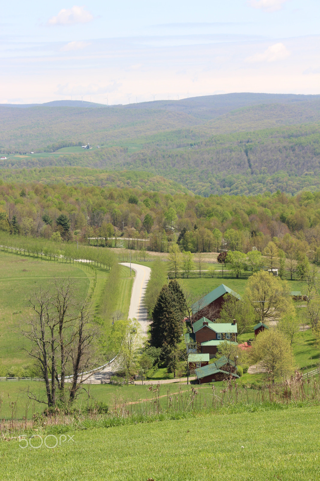 Canon EF-S 18-135mm F3.5-5.6 IS STM sample photo. View from kentuck knob photography
