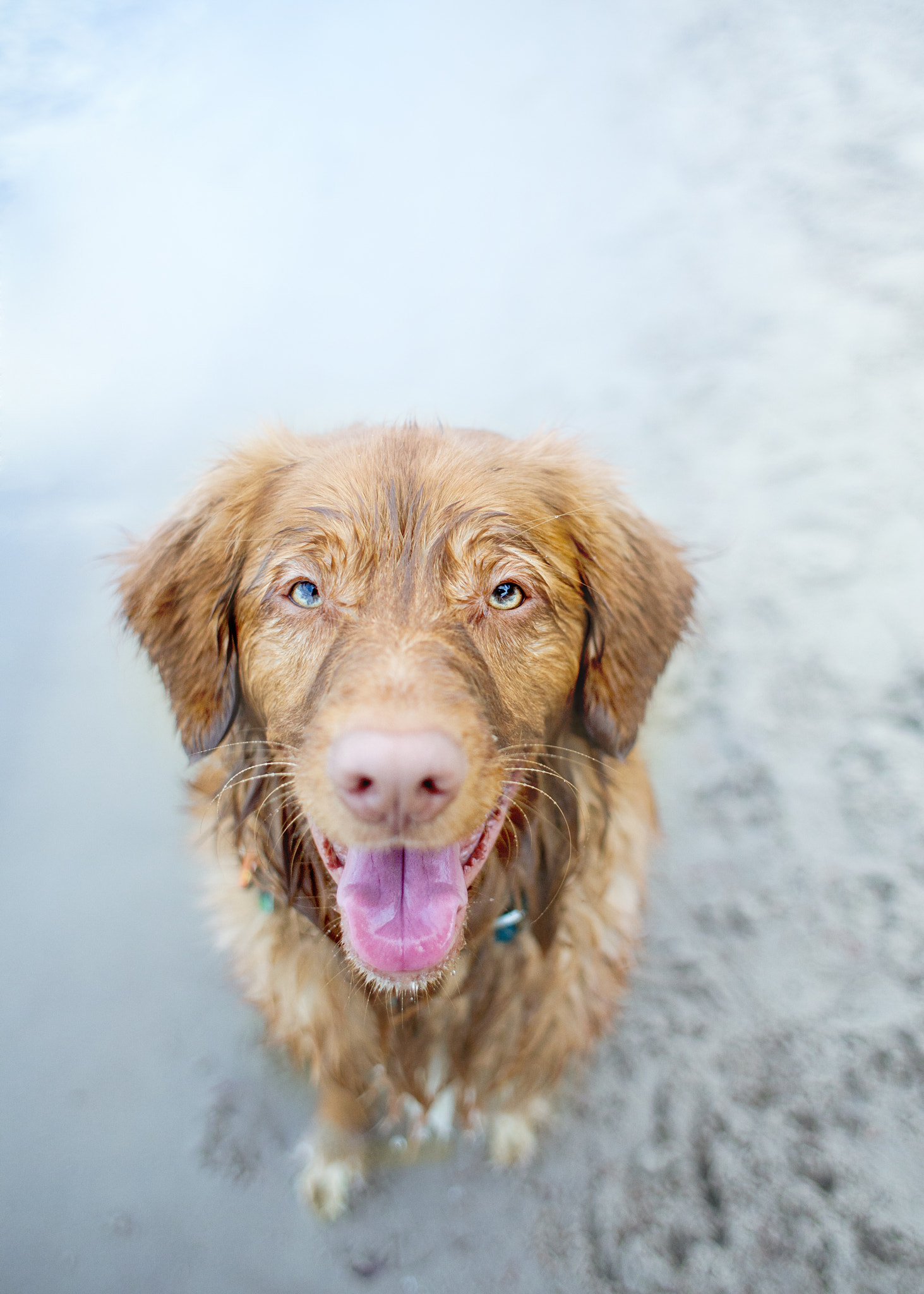 Canon EOS 5D + Canon EF 28mm F1.8 USM sample photo. Lets play! photography