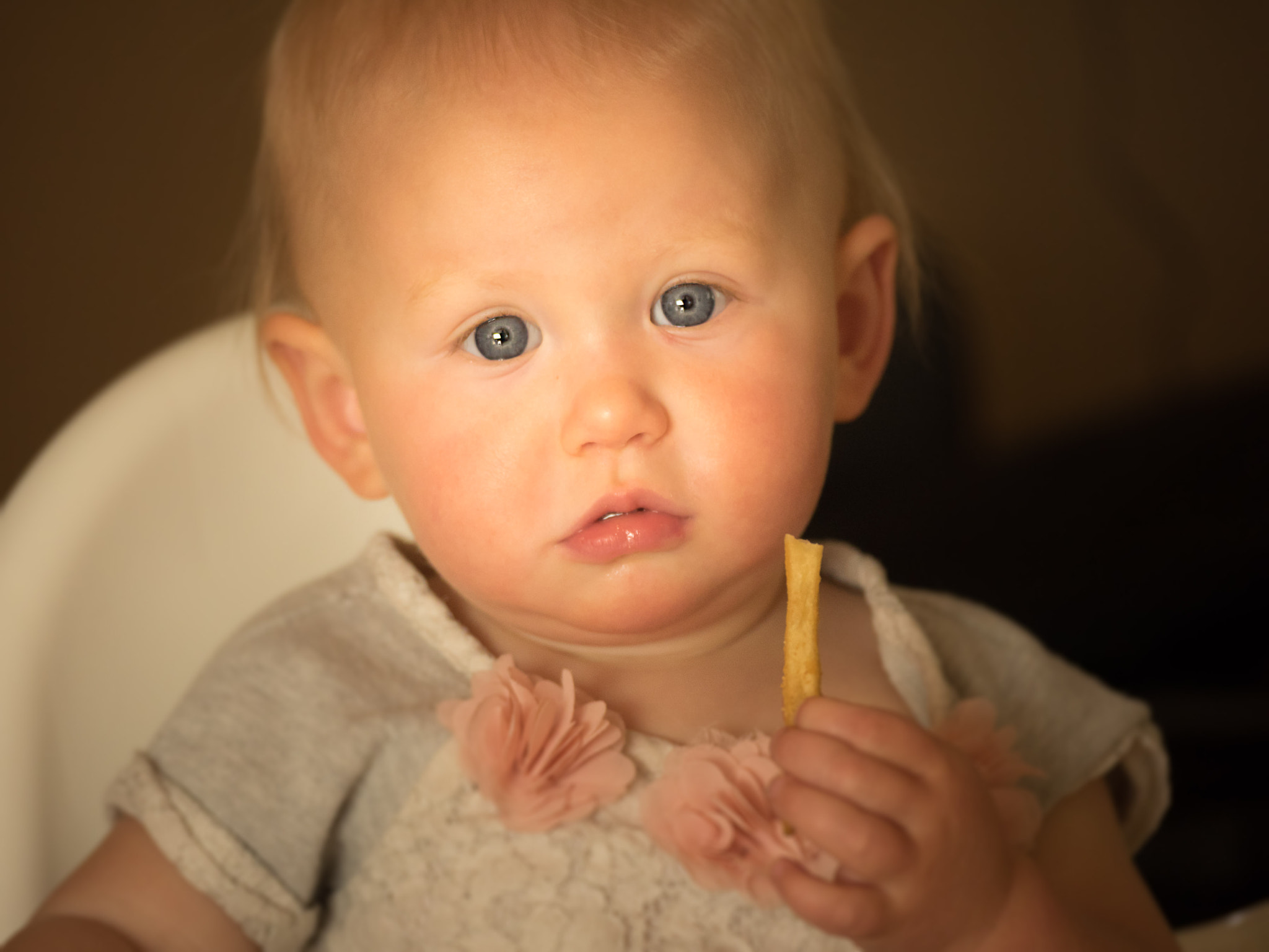 Panasonic Lumix G X Vario 35-100mm F2.8 OIS sample photo. One small fry photography