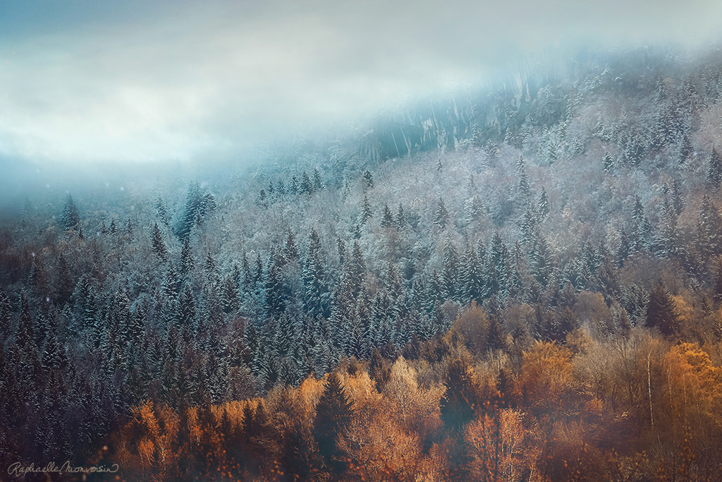 Canon EF 100-400mm F4.5-5.6L IS II USM sample photo. The edge of seasons photography